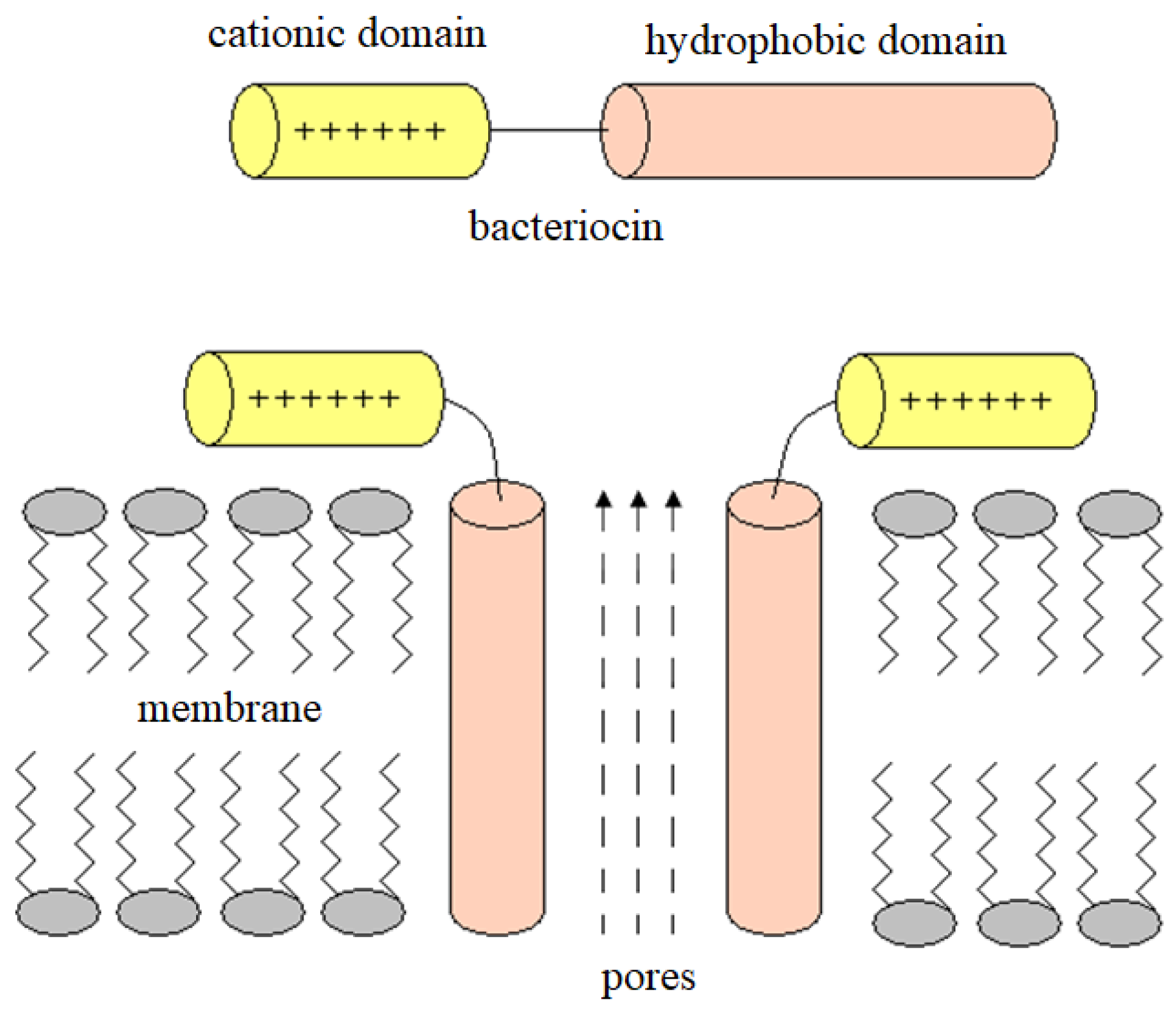 Applsci 14 03754 g004