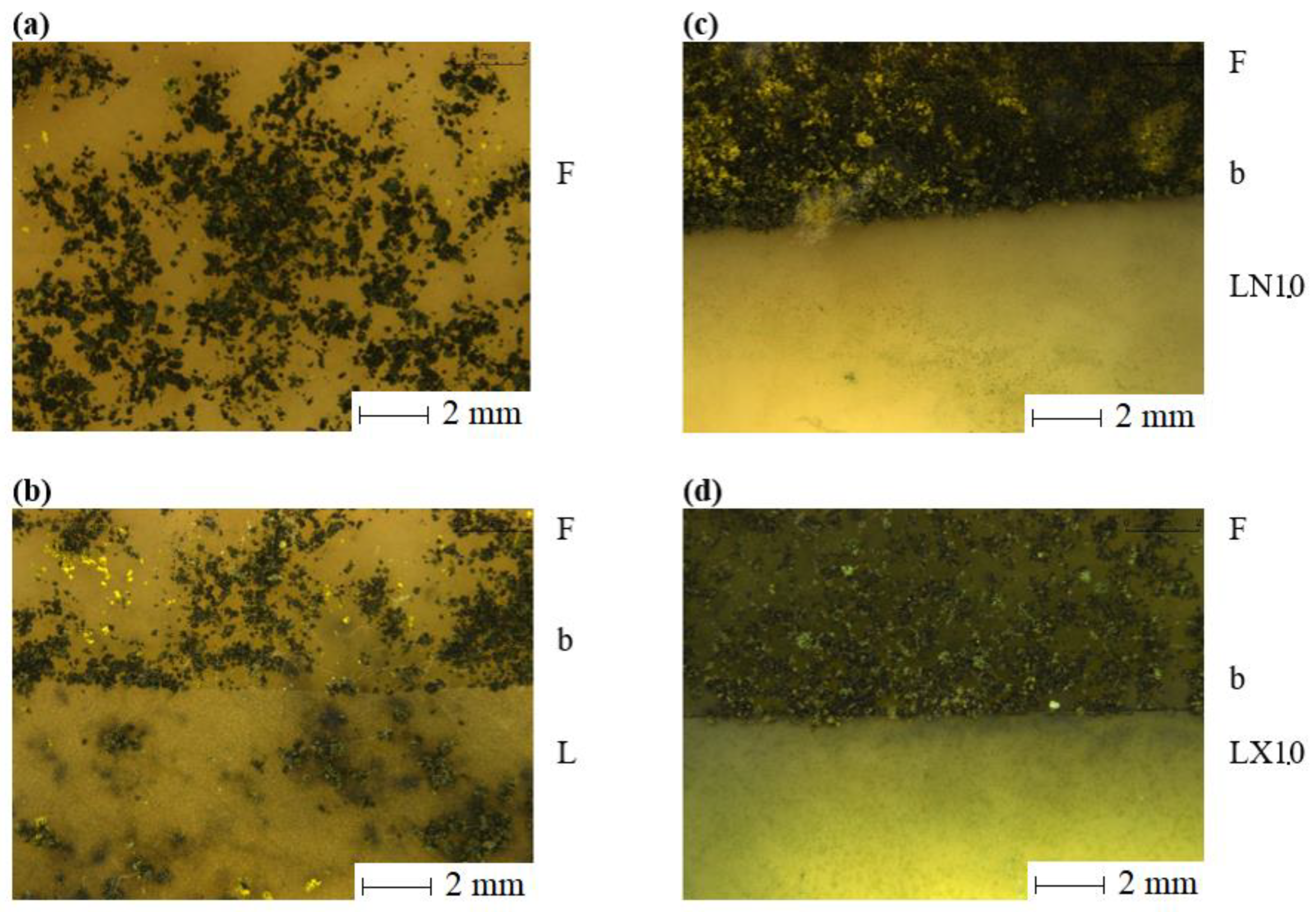 Applsci 14 03754 g005