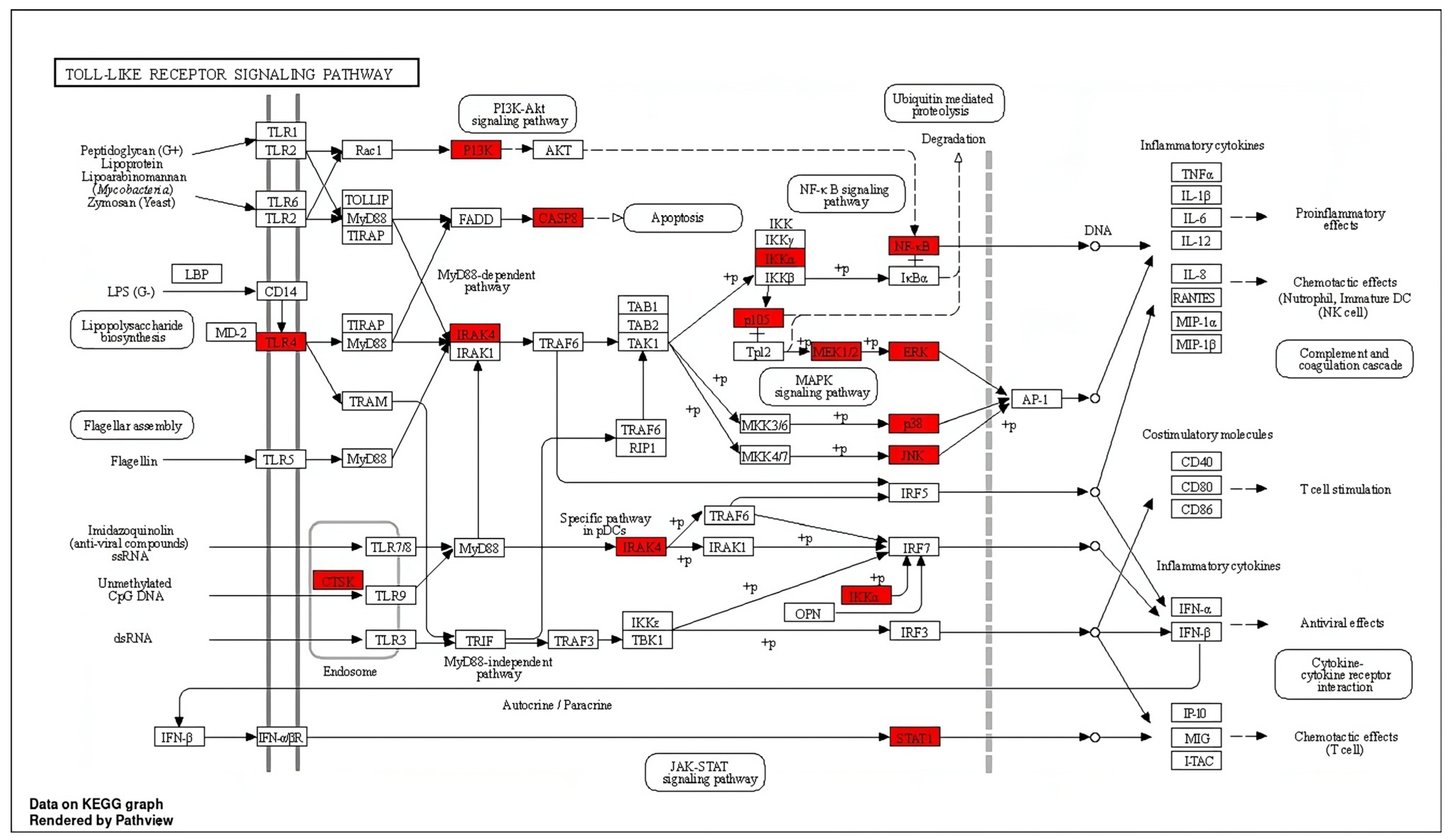 Applsci 14 03755 g003