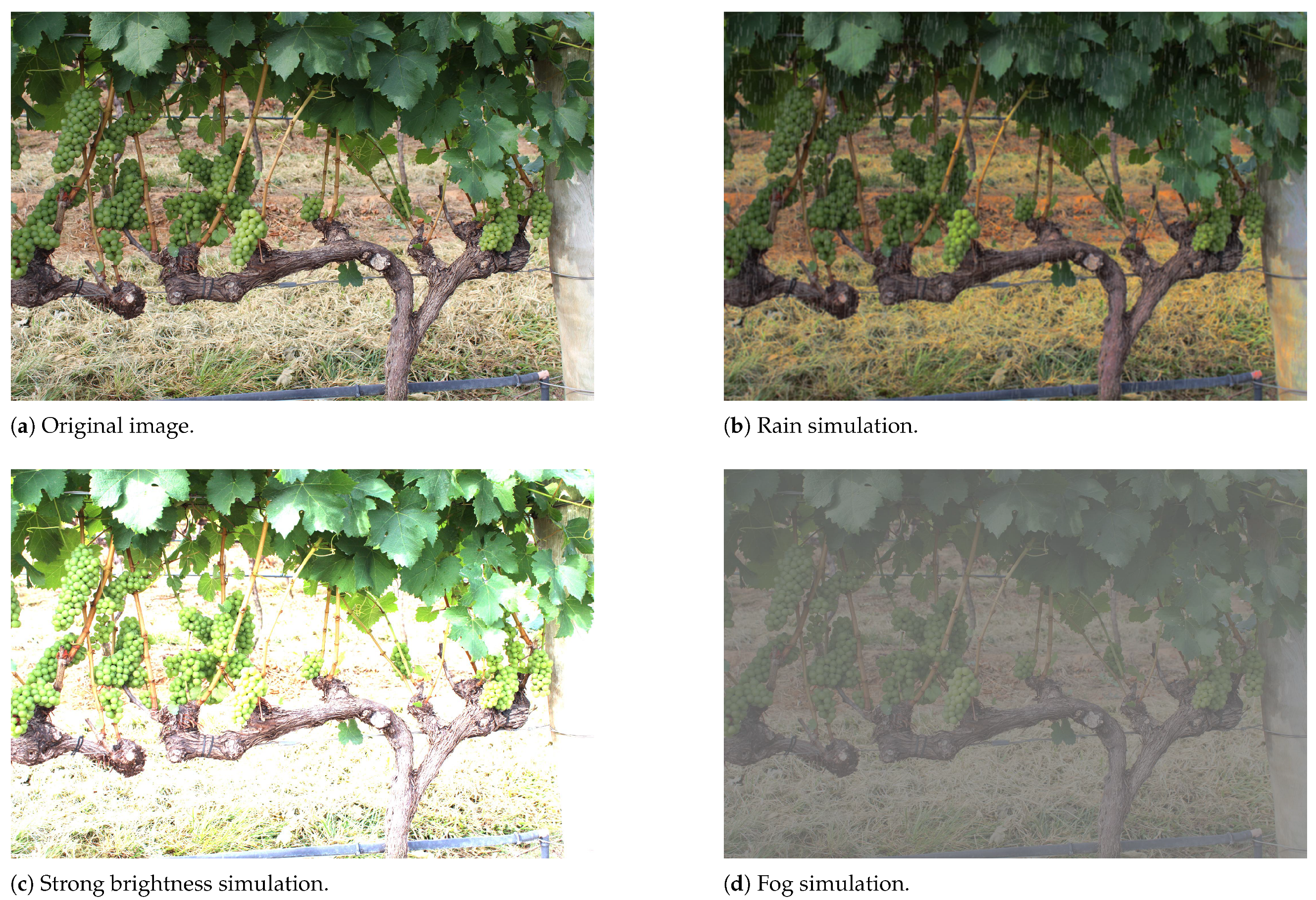 Applsci 14 03777 g004