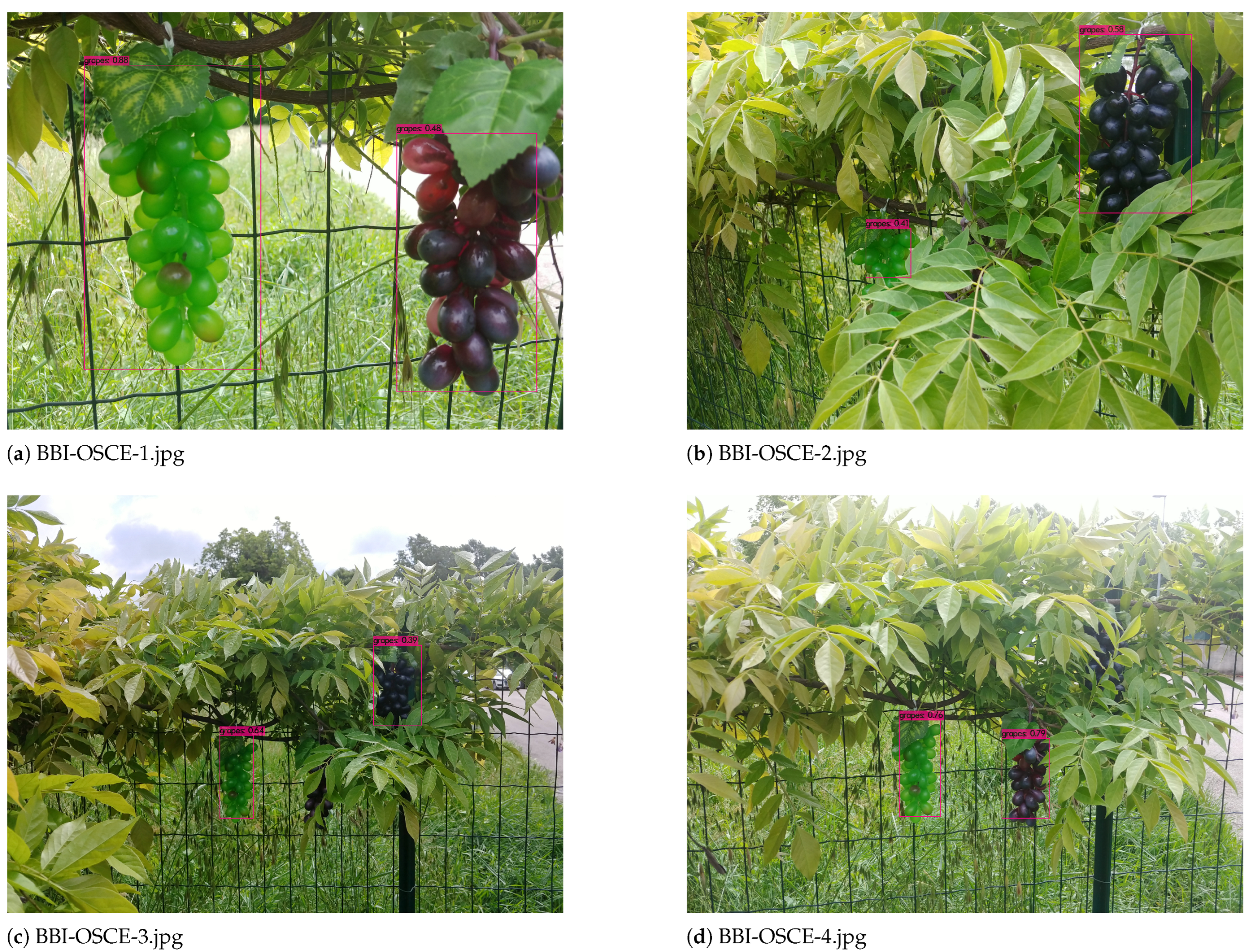 Applsci 14 03777 g007