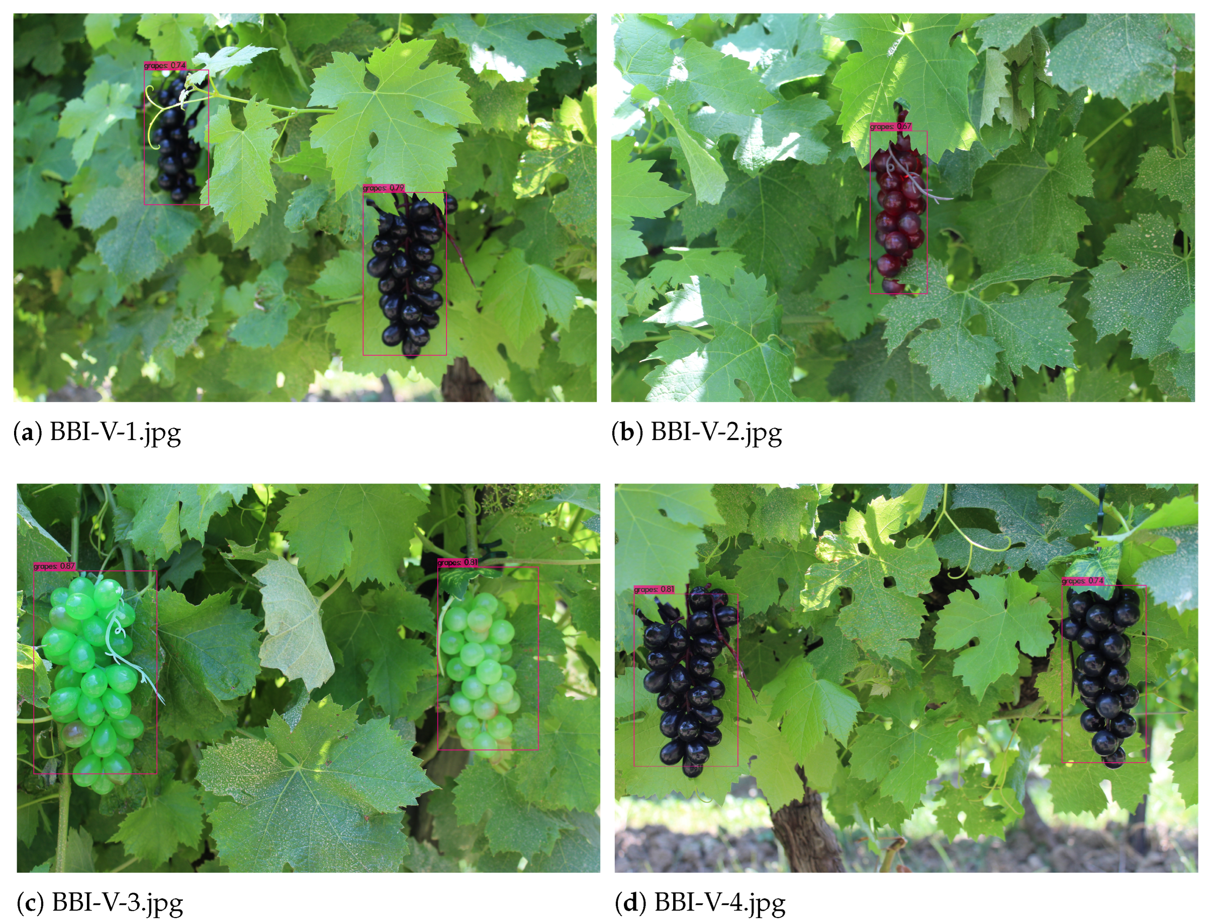 Applsci 14 03777 g008