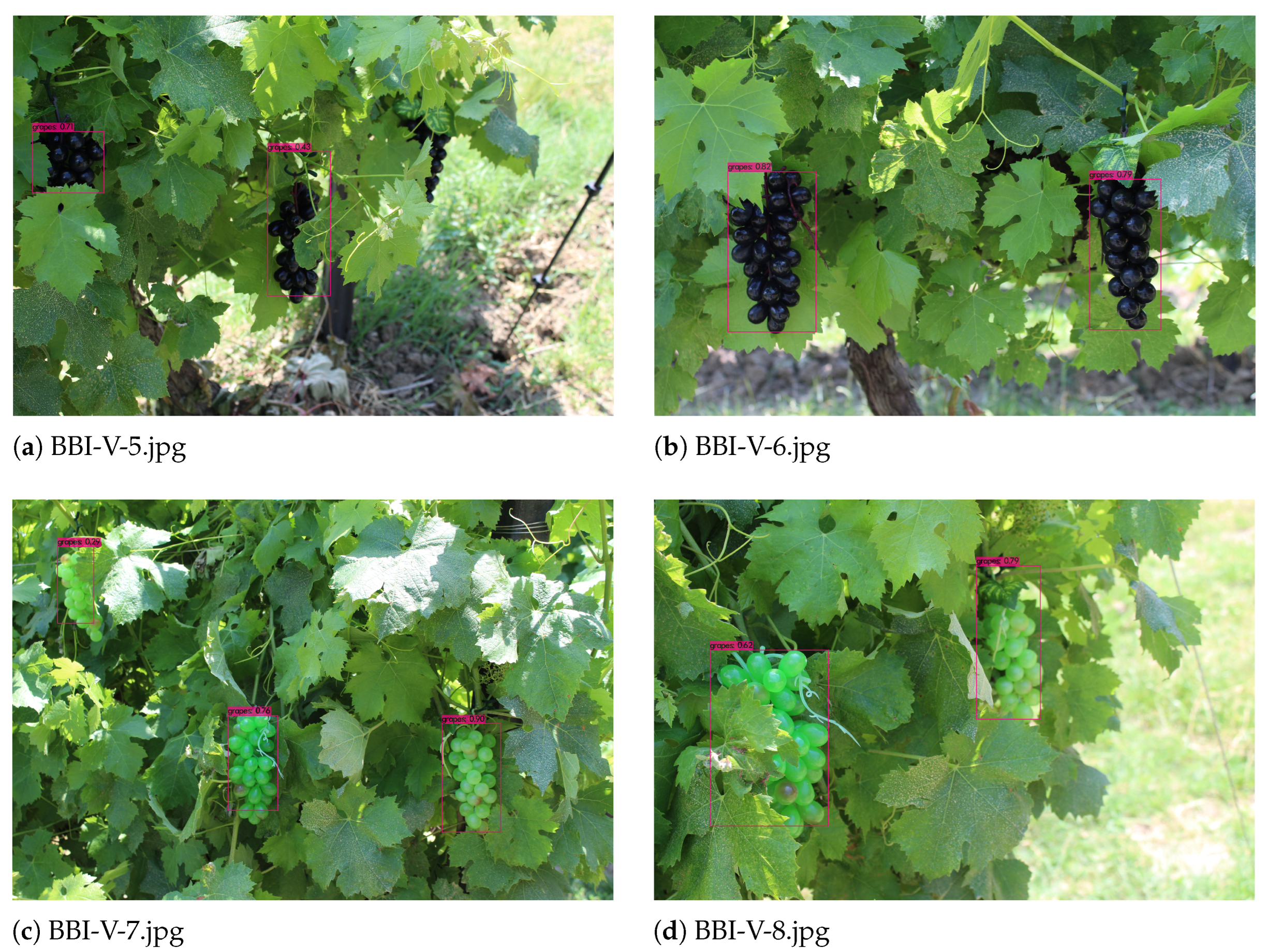 Applsci 14 03777 g009