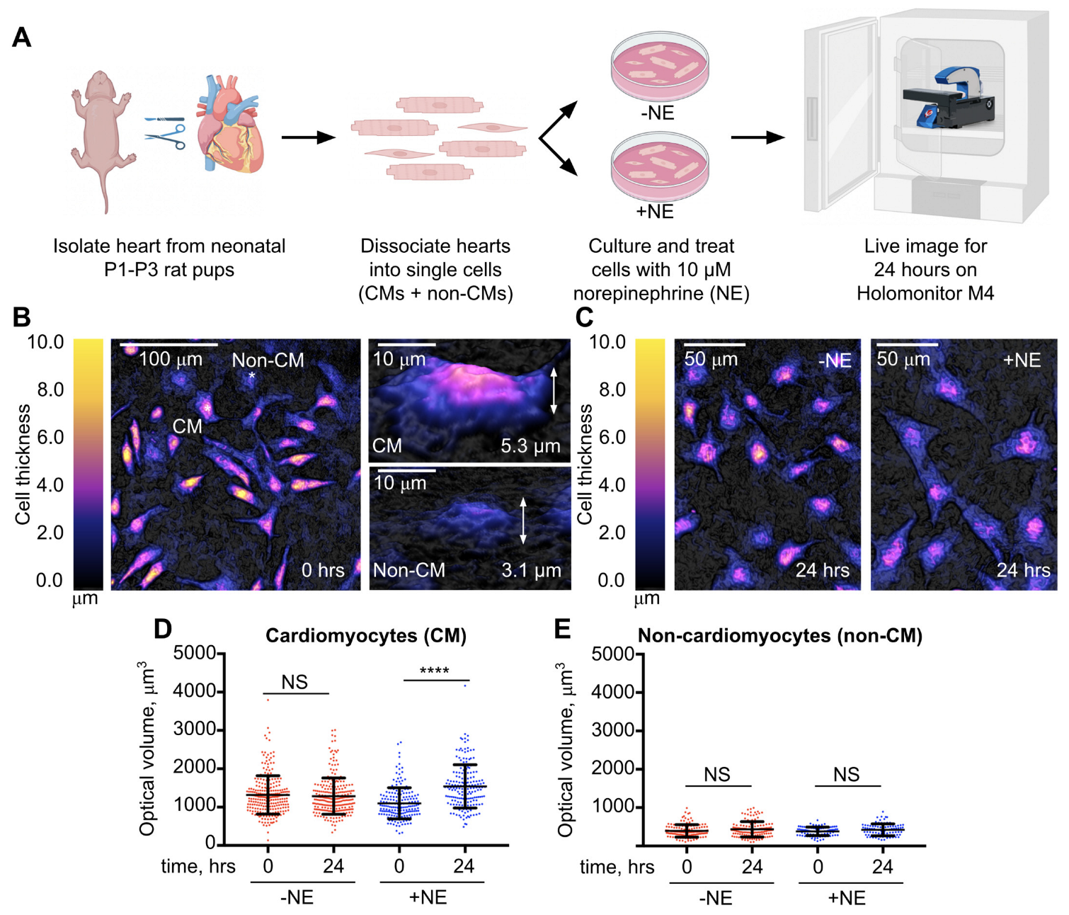 Applsci 14 03819 g001