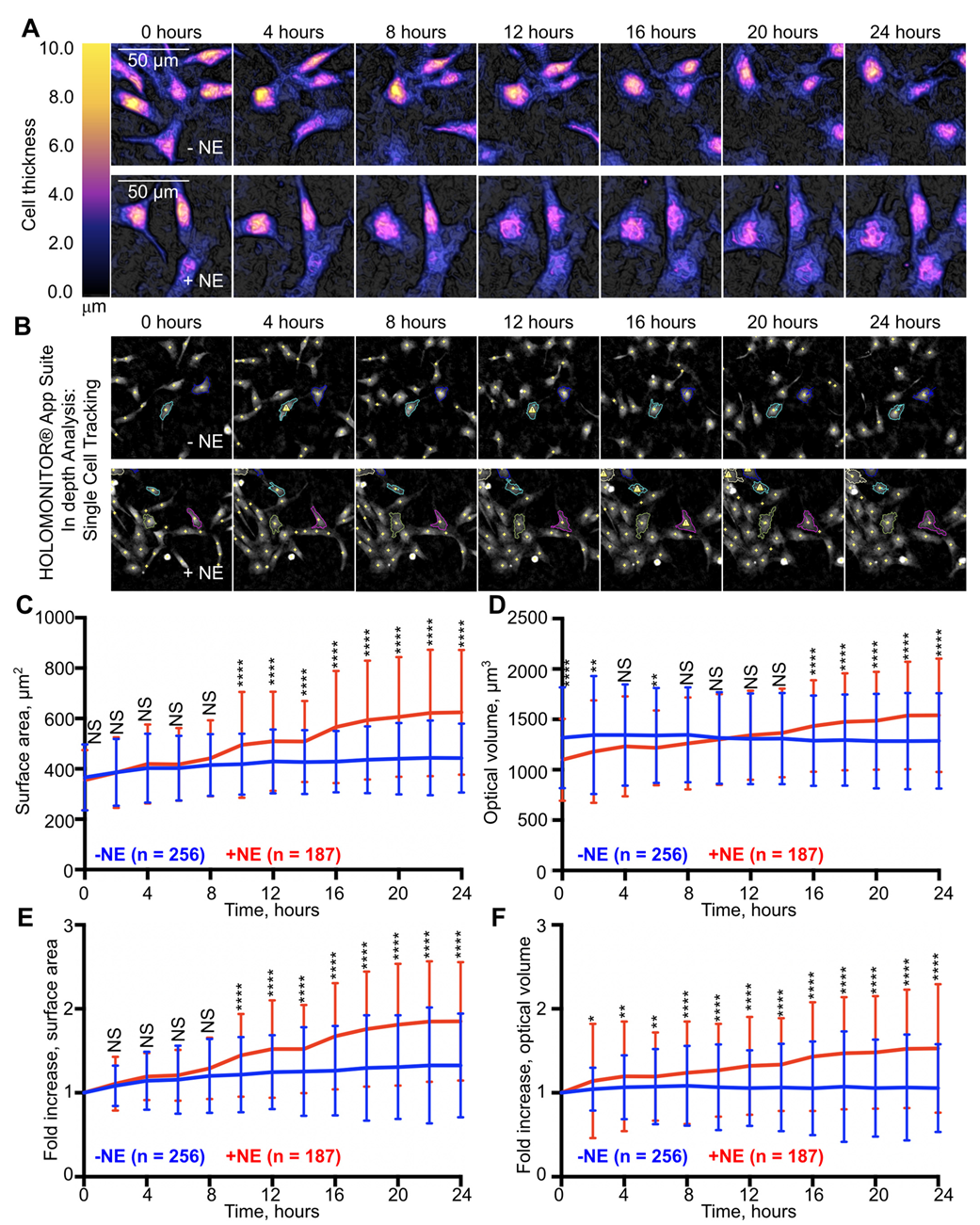 Applsci 14 03819 g002