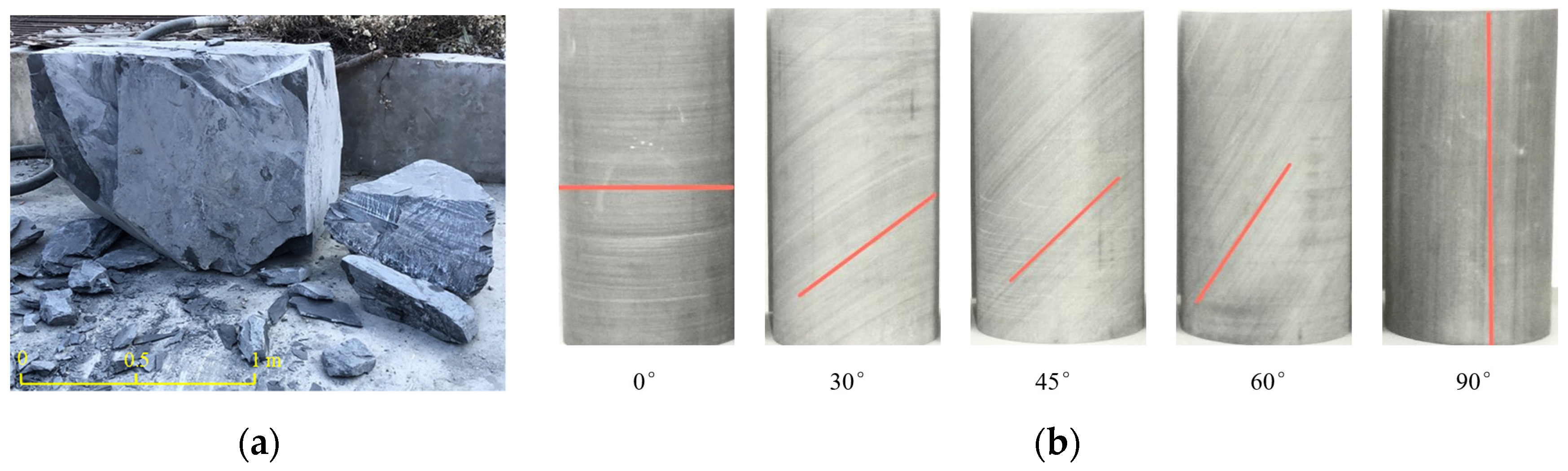 Applsci 14 03849 g001