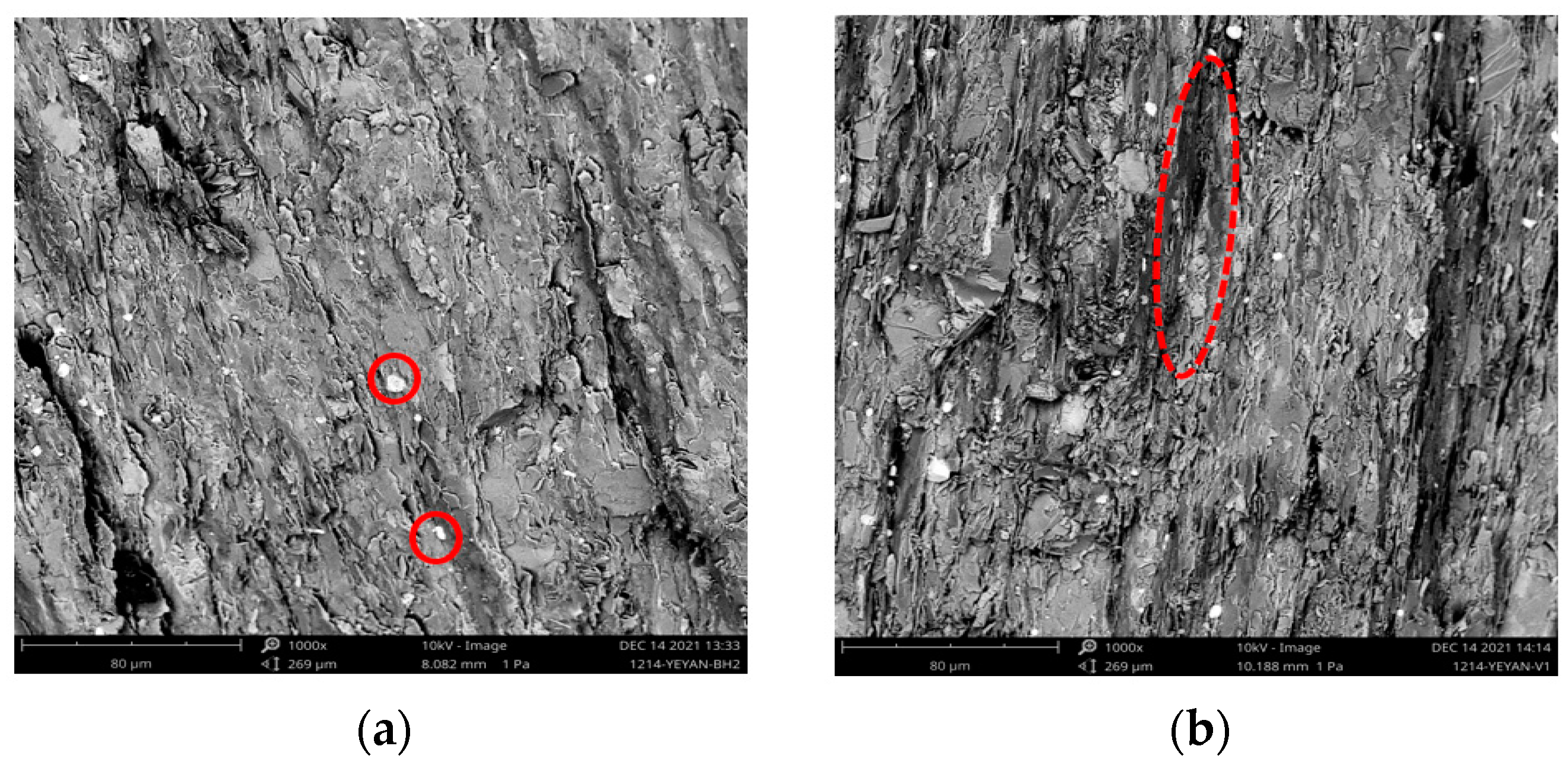 Applsci 14 03849 g002