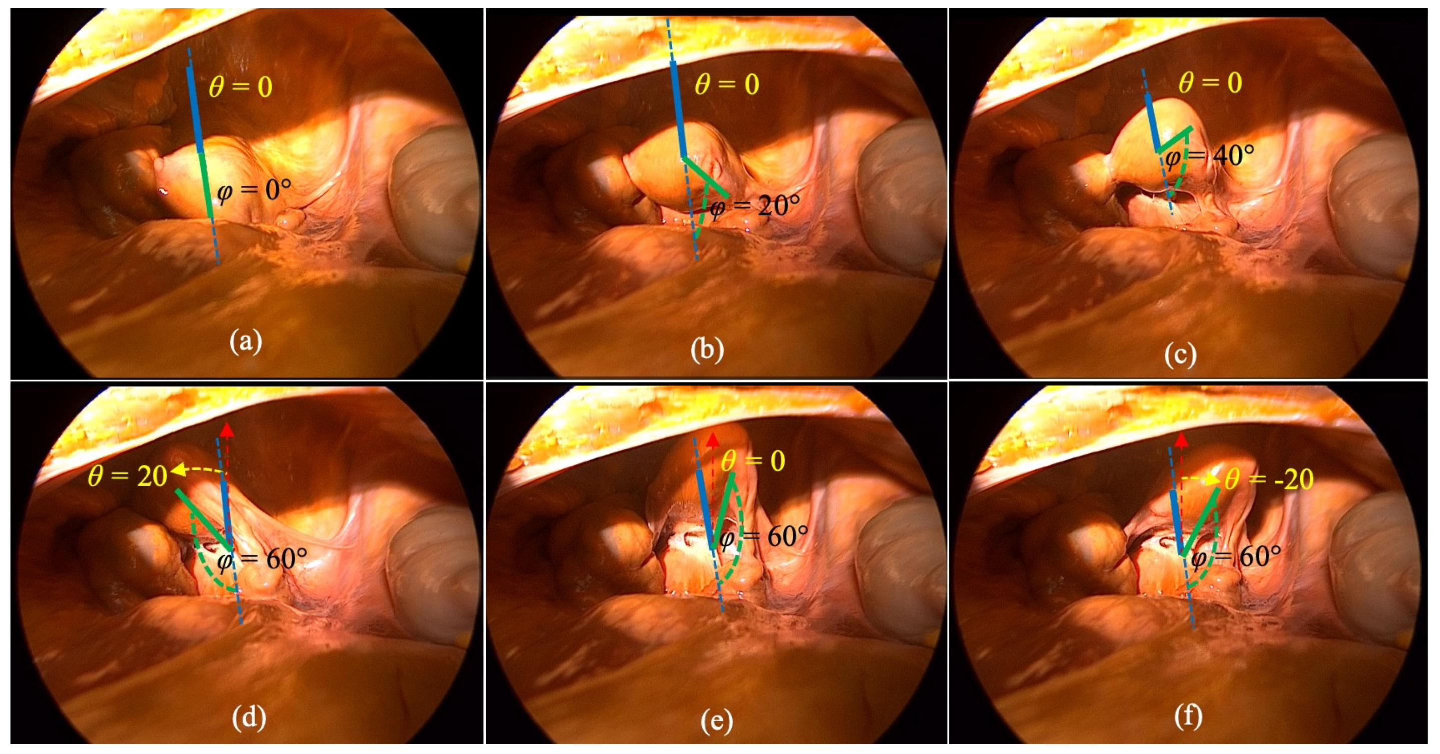 Applsci 14 03851 g019