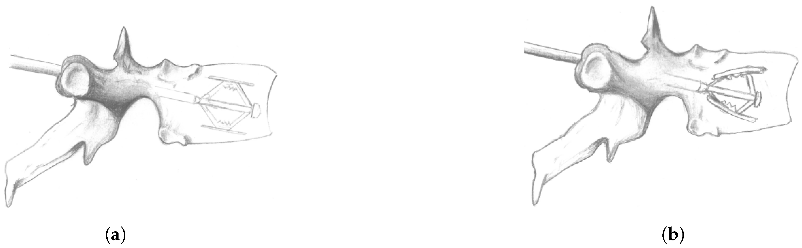 Applsci 14 03860 g001