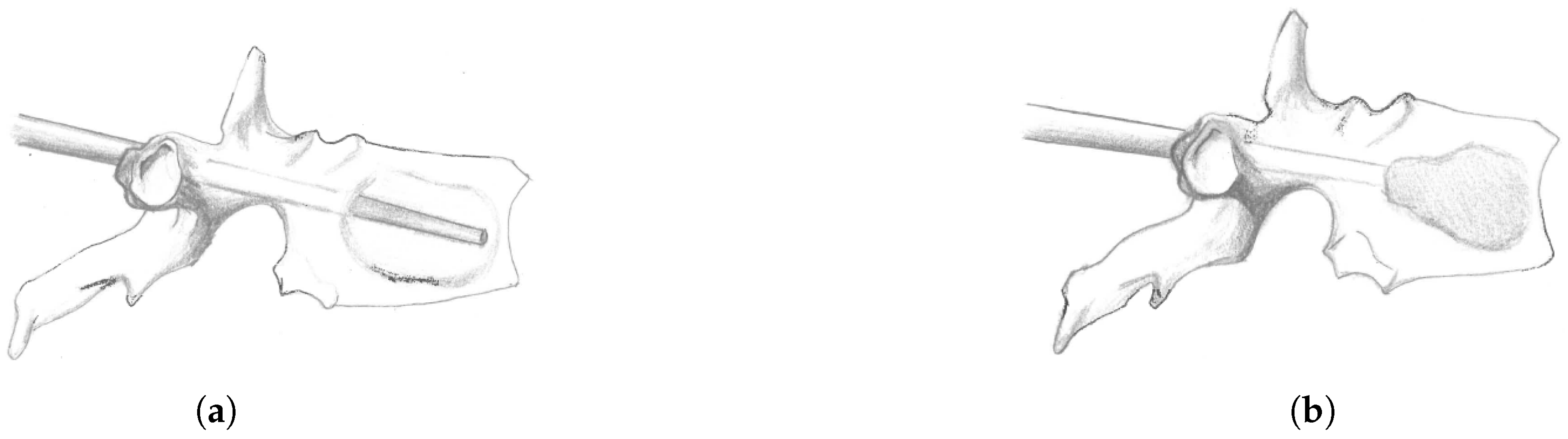 Applsci 14 03860 g002