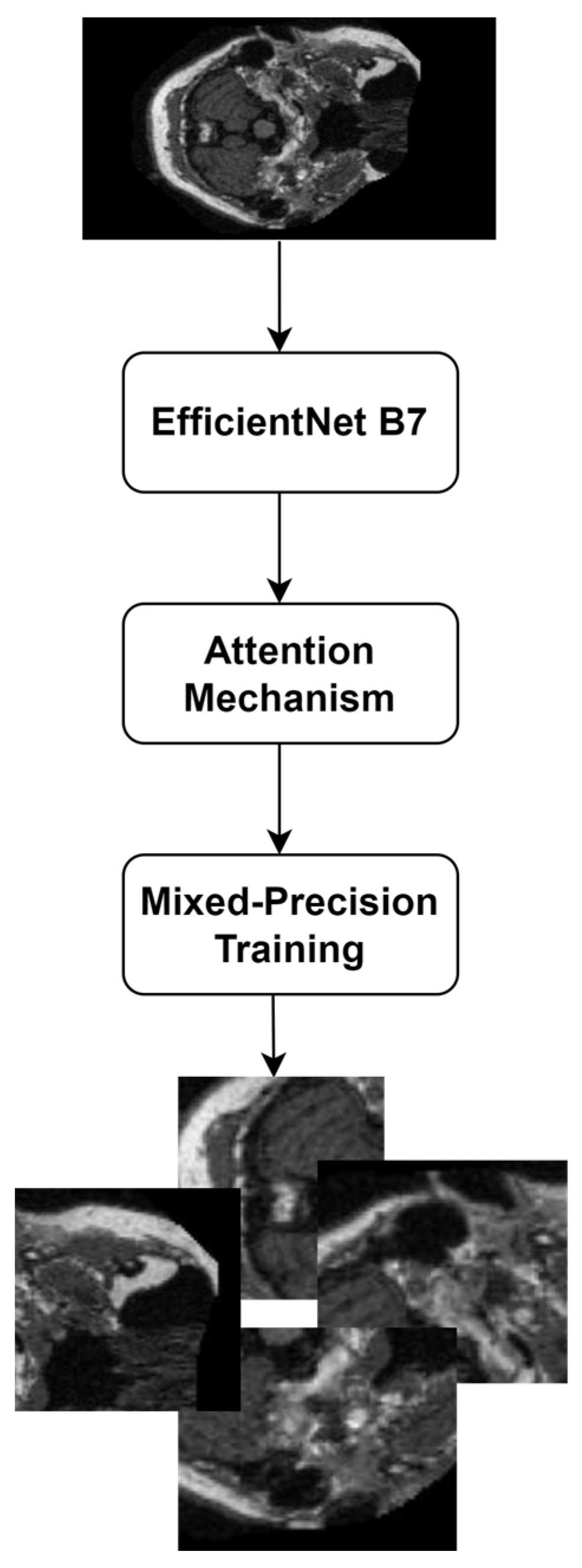 Applsci 14 03879 g002