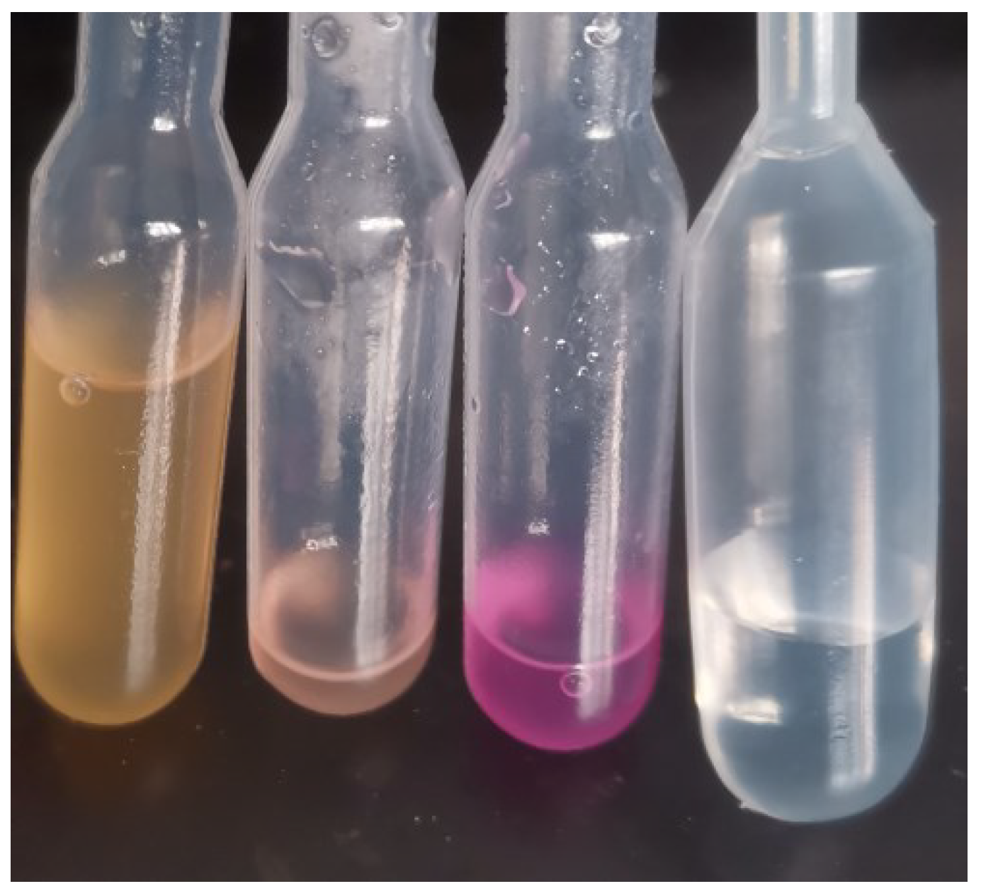 Applsci 14 03881 g001