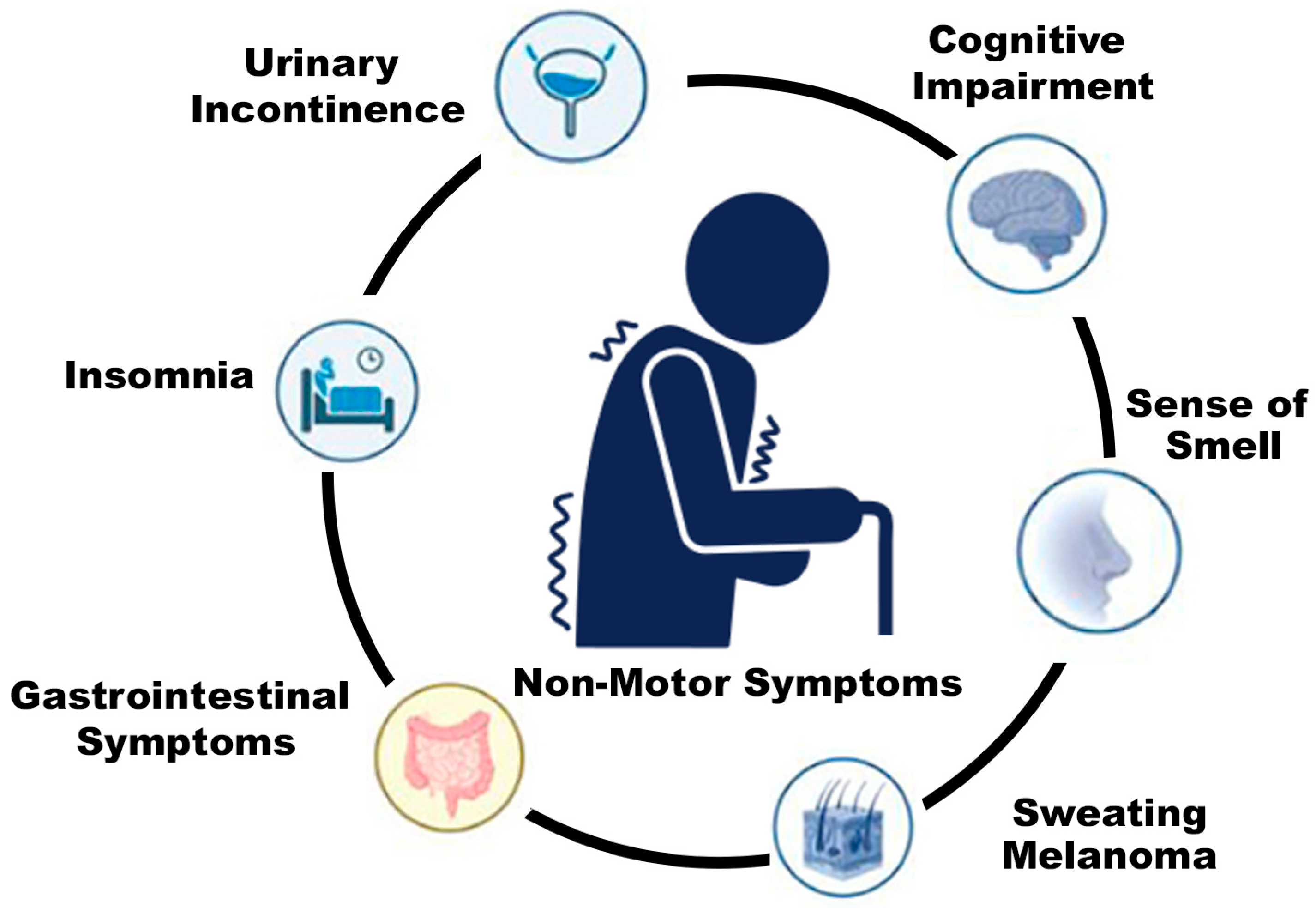 Applsci 14 03883 g001