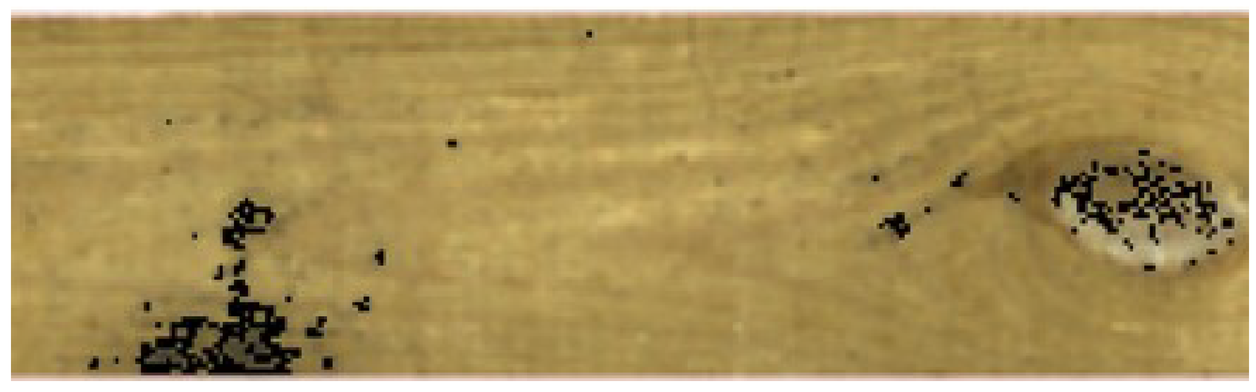 Applsci 14 03885 g005