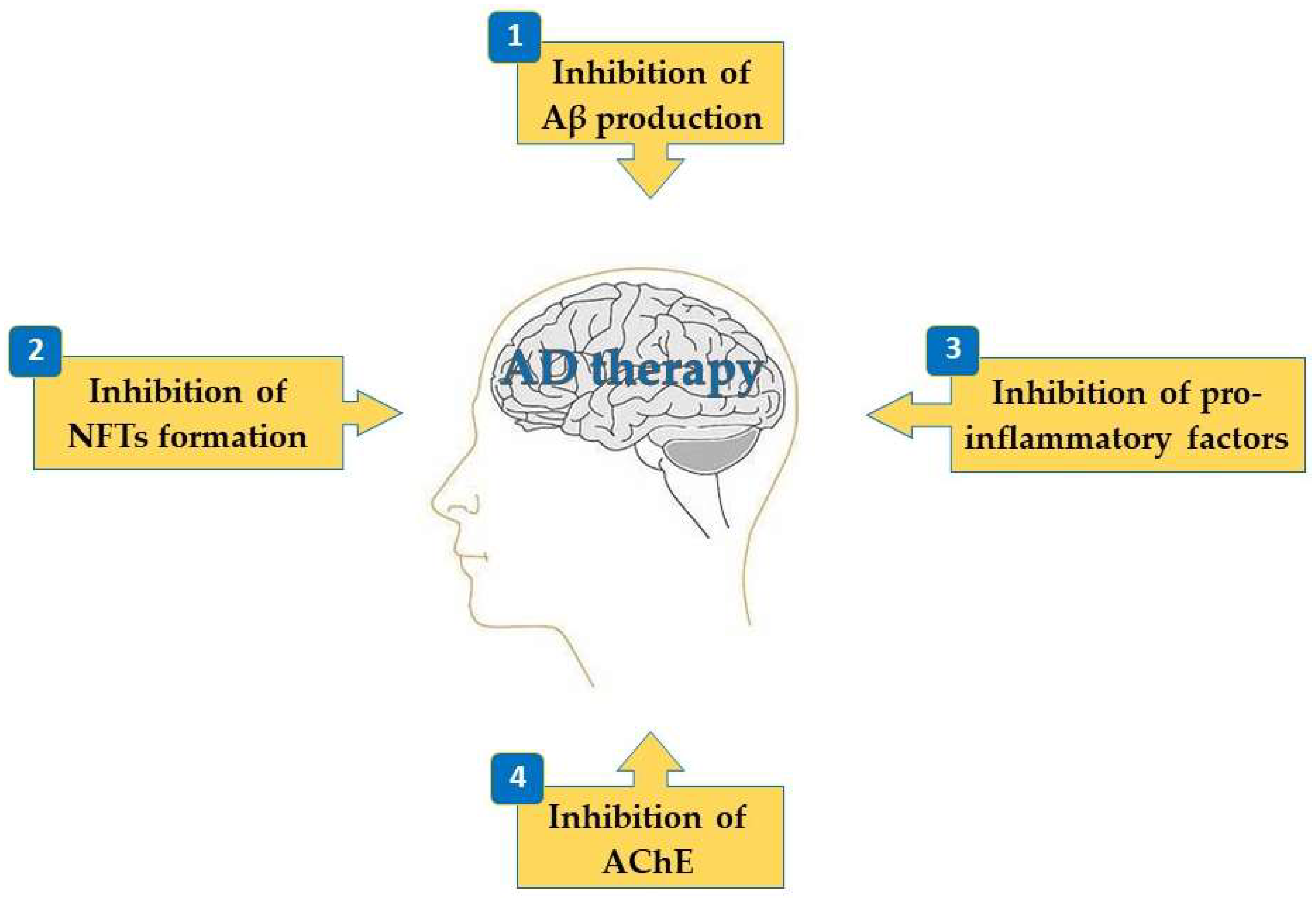 Applsci 14 03898 g002