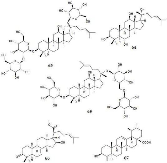 Applsci 14 03898 i009