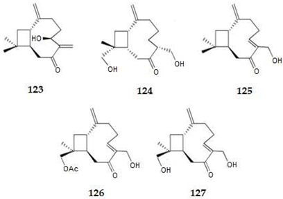 Applsci 14 03898 i016