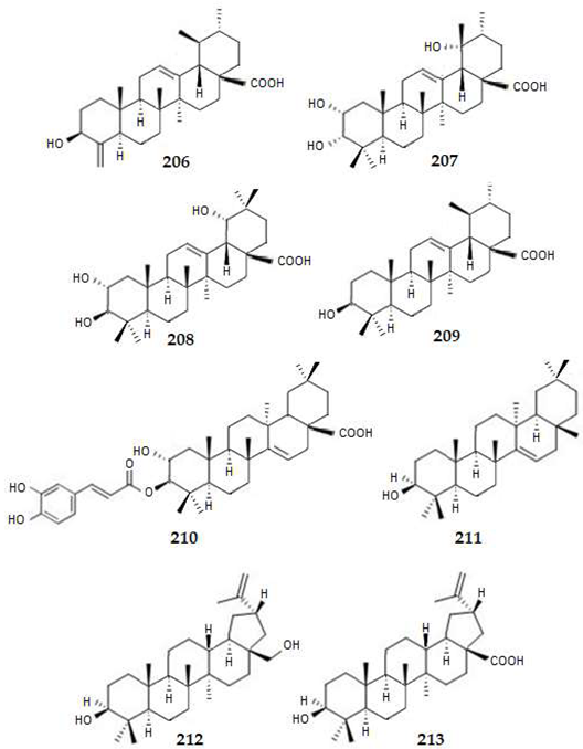 Applsci 14 03898 i024