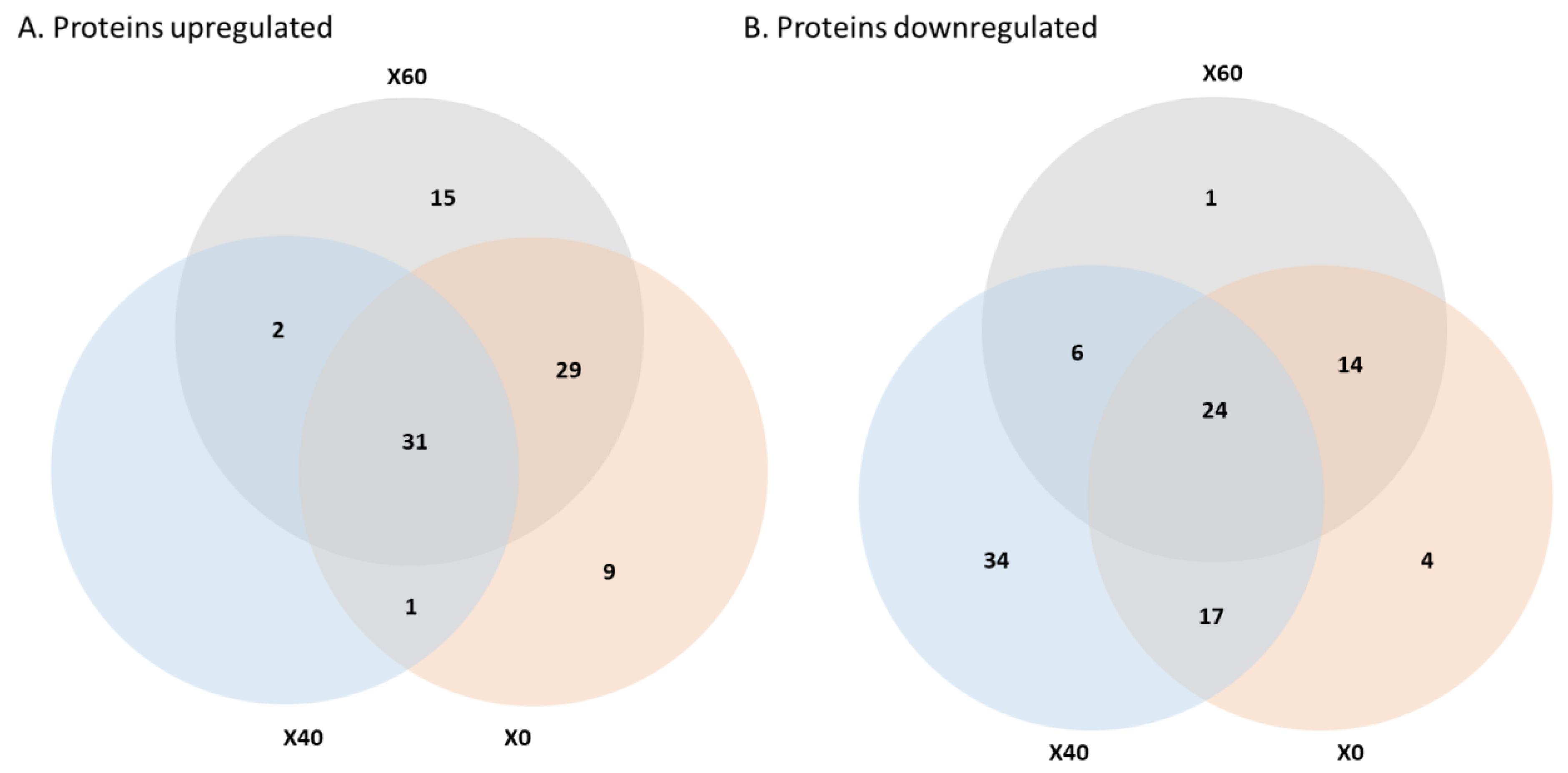 Applsci 14 03906 g005