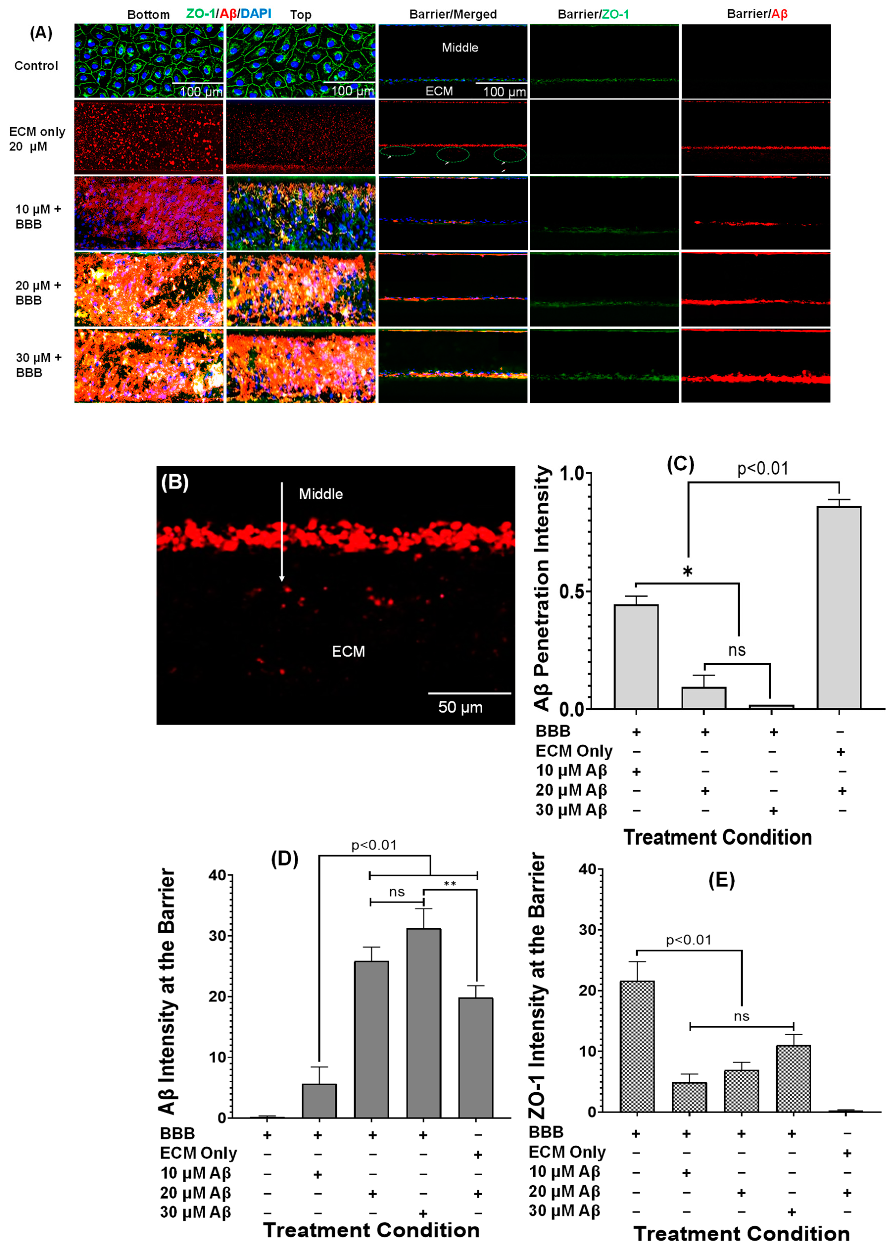 Applsci 14 03917 g004 Applsci 14 03917 g004
