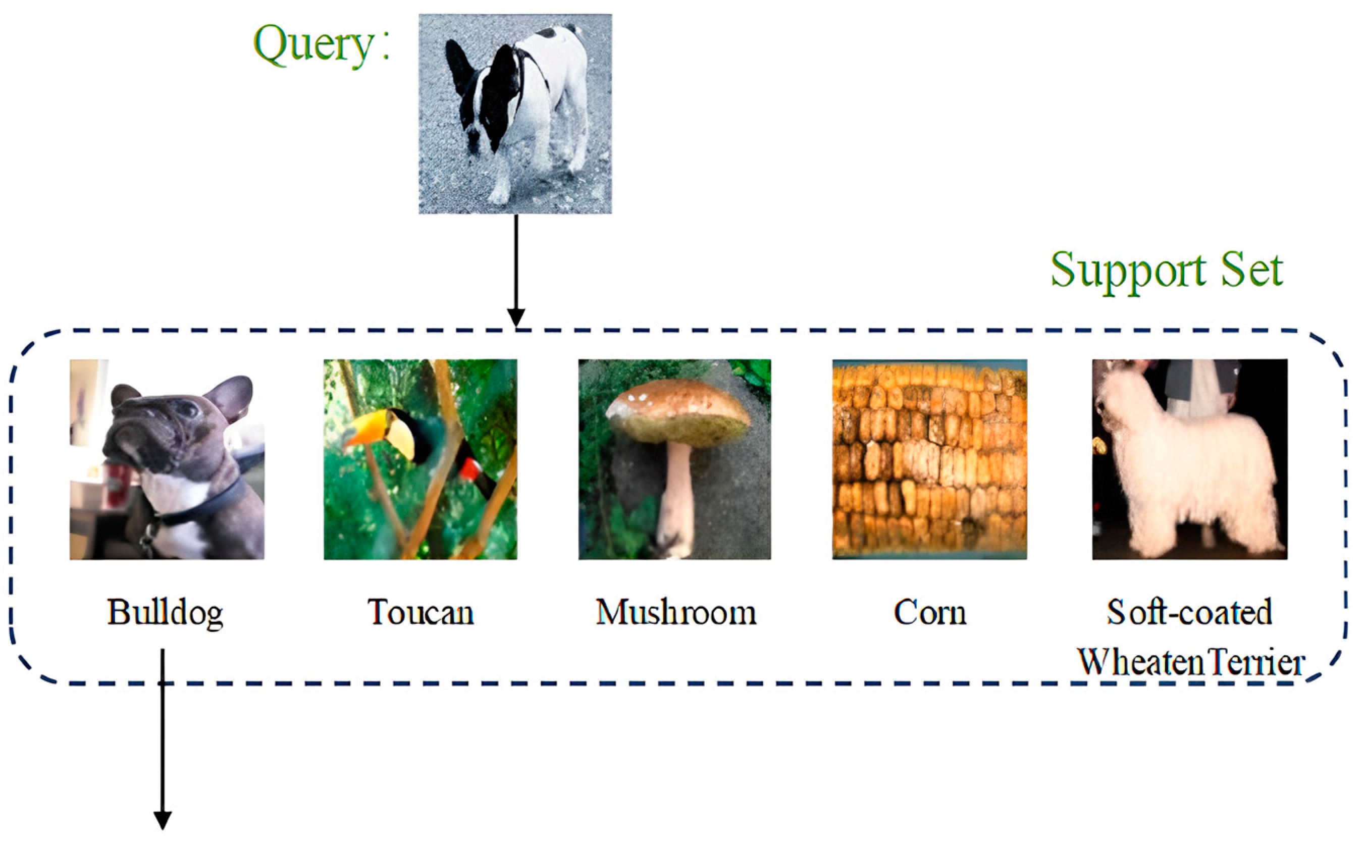 Applsci 14 03919 g001