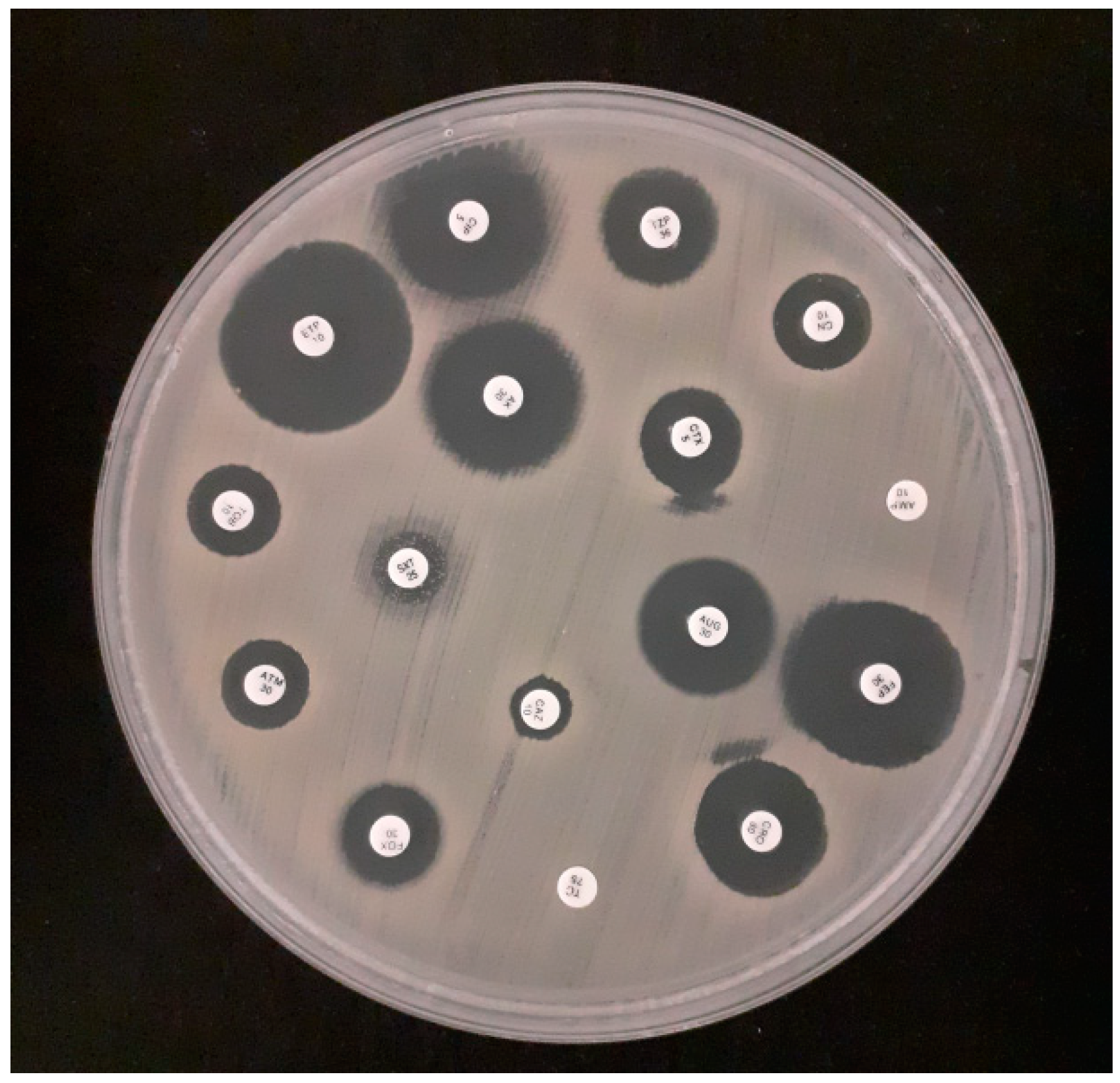 Applsci 14 03950 g001