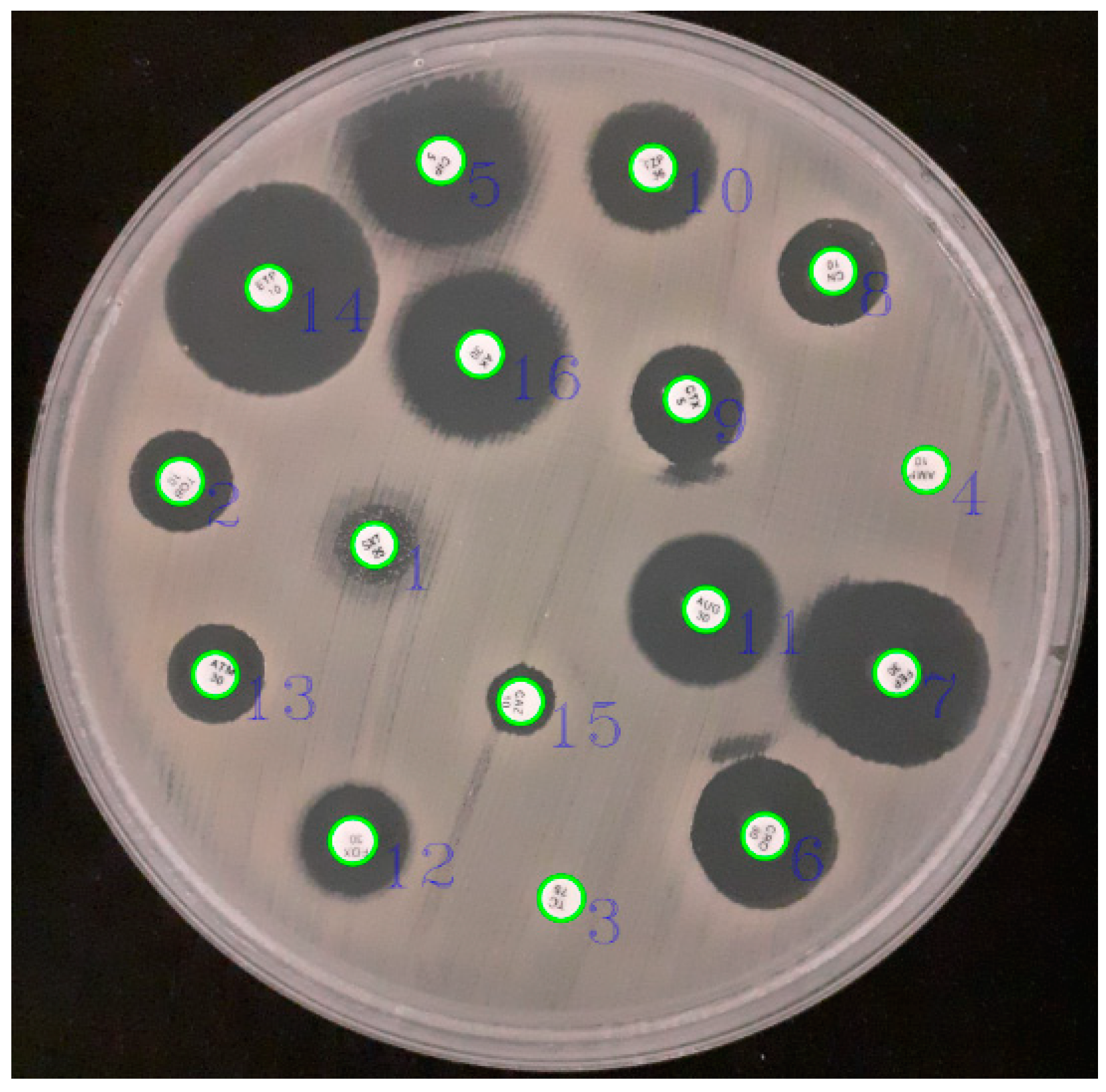 Applsci 14 03950 g002