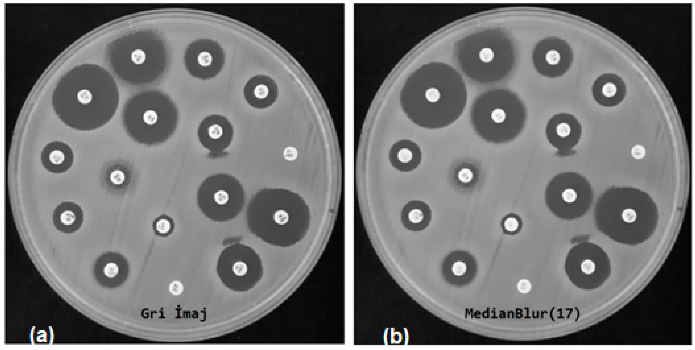 Applsci 14 03950 g004