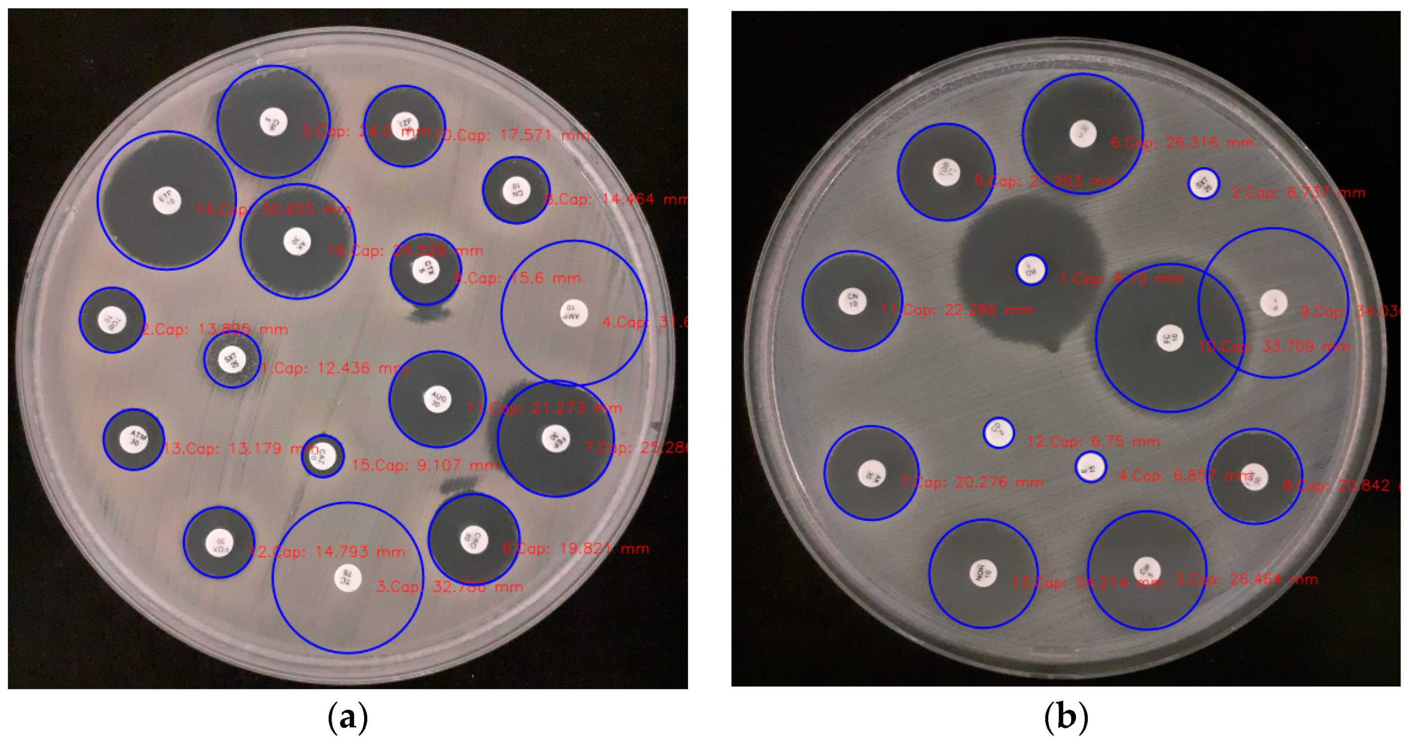 Applsci 14 03950 g005a