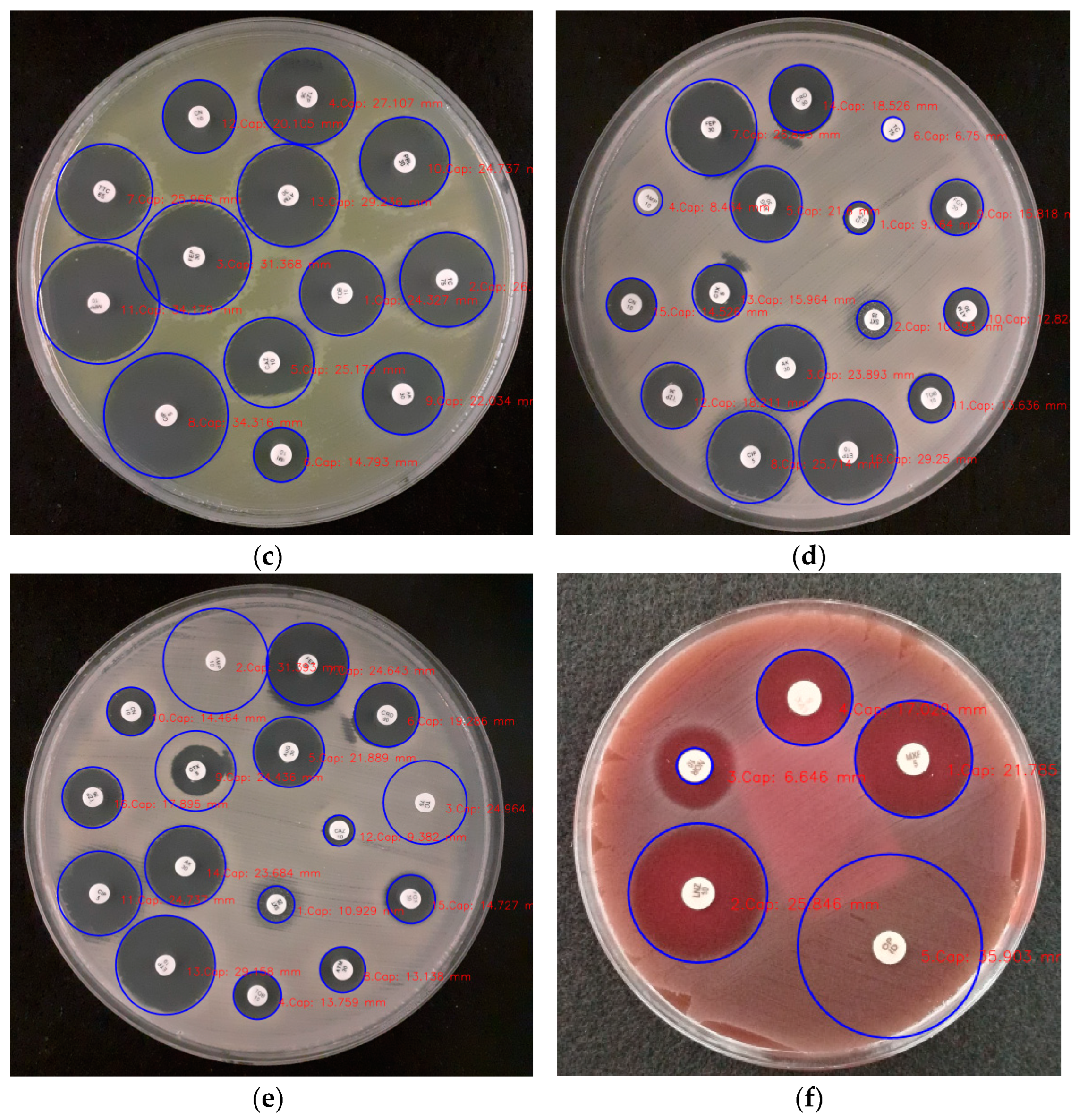 Applsci 14 03950 g005b