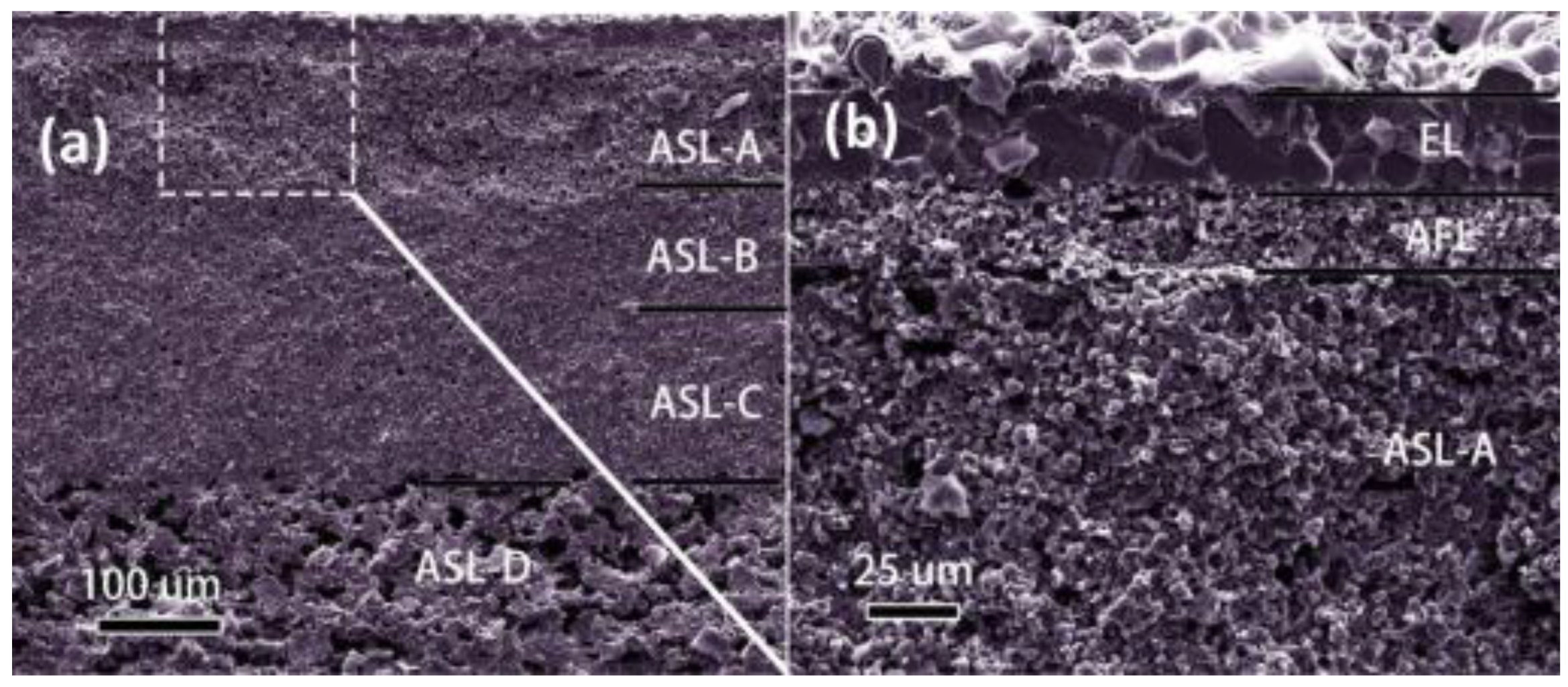 Applsci 14 03953 g010