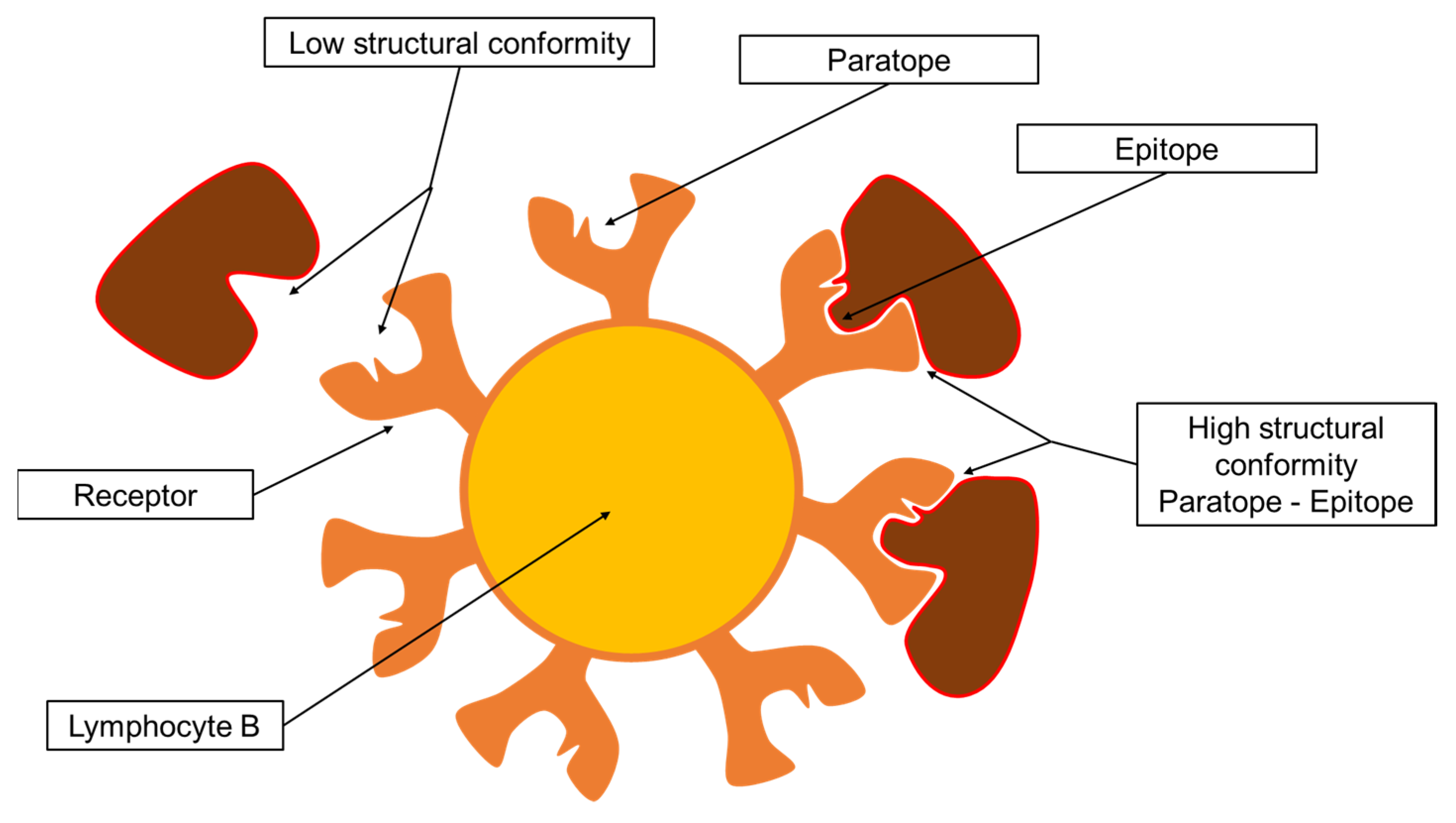 Applsci 14 03991 g005