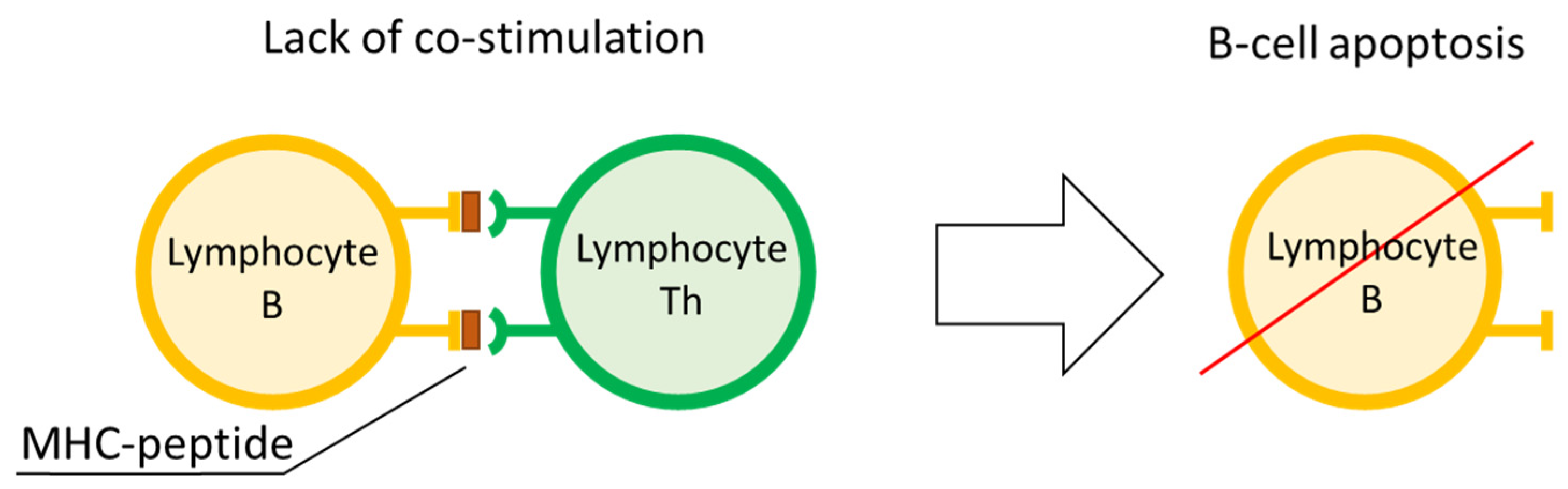 Applsci 14 03991 g008