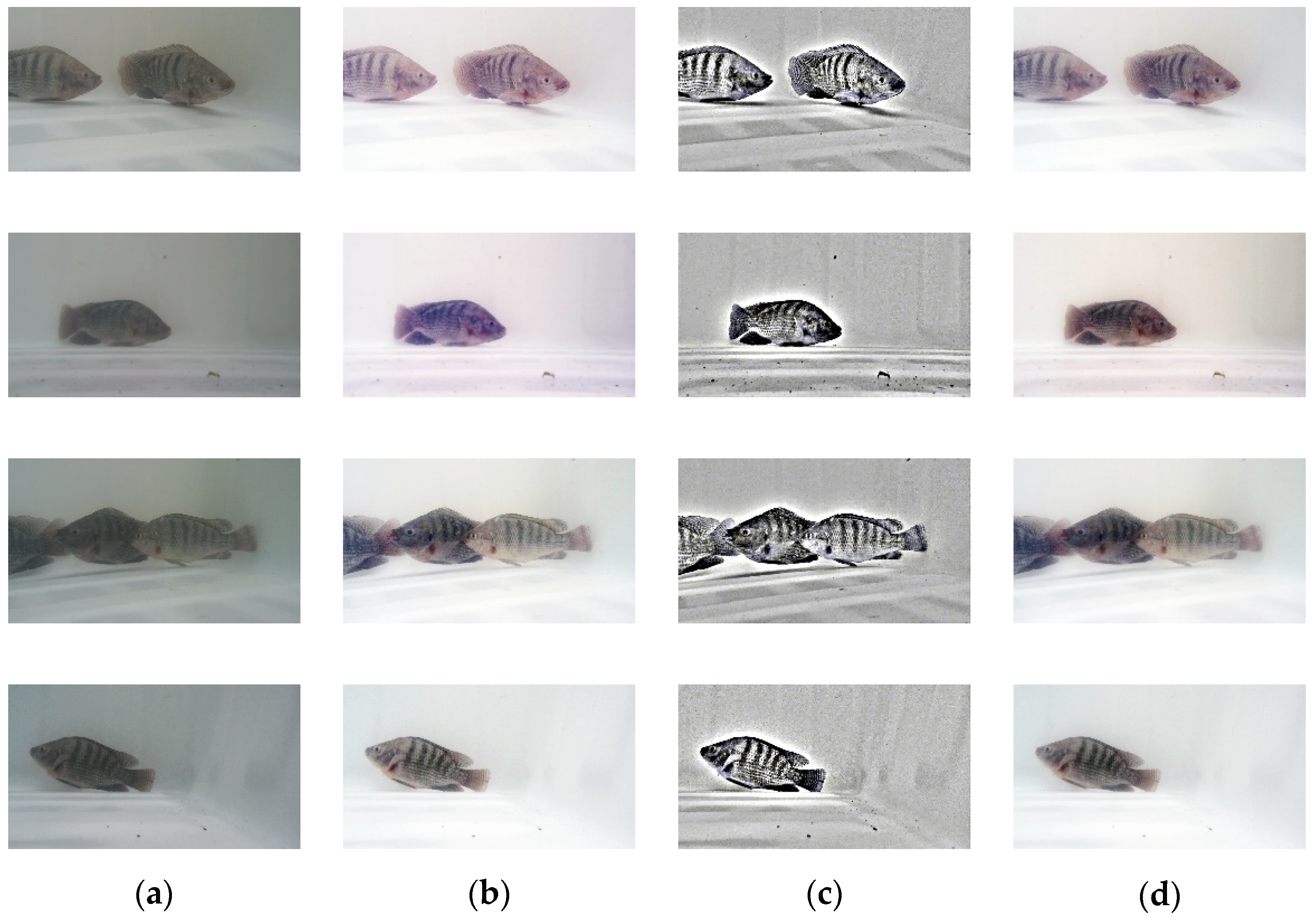 Applsci 14 04009 g006