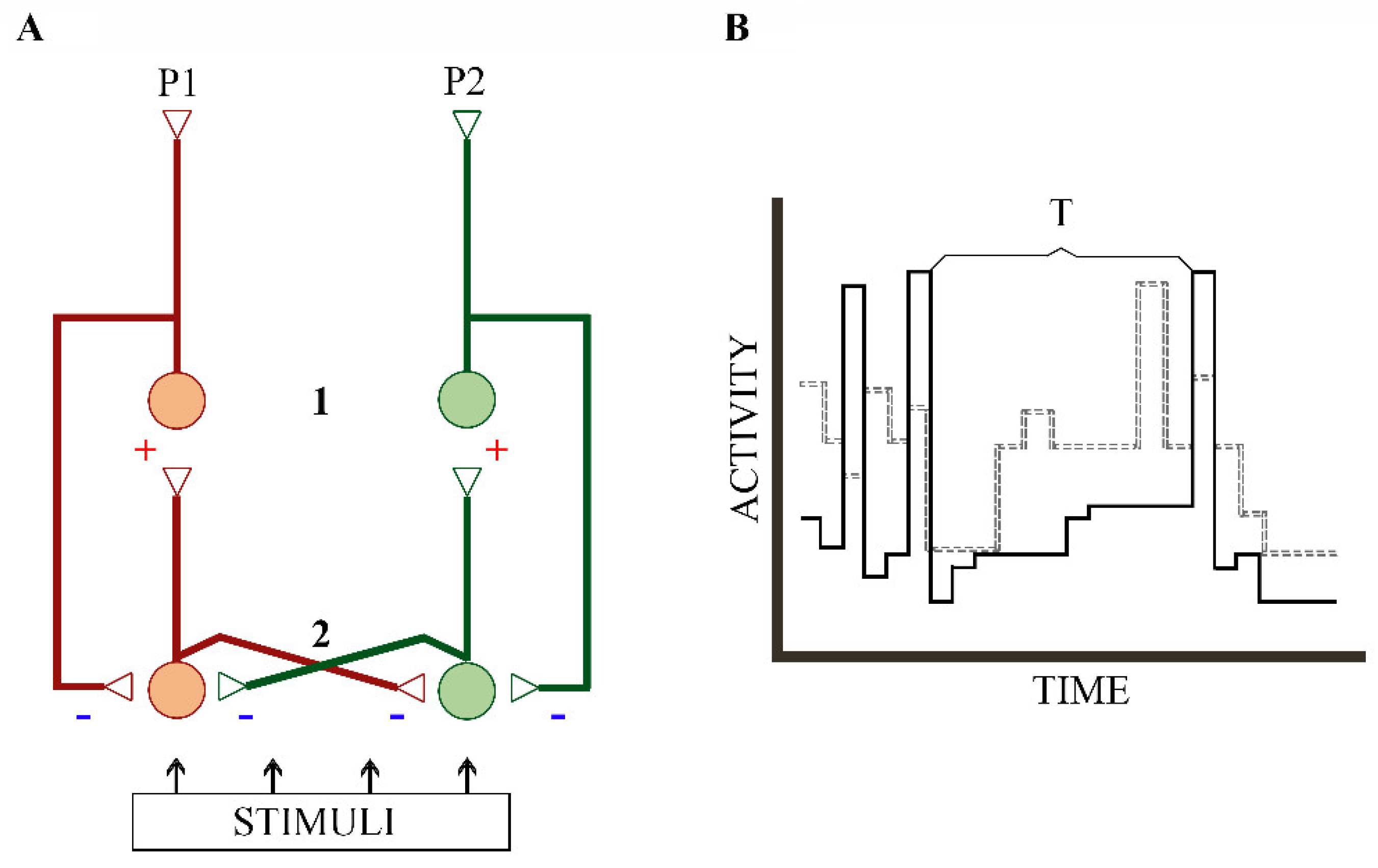 Applsci 14 04056 g004