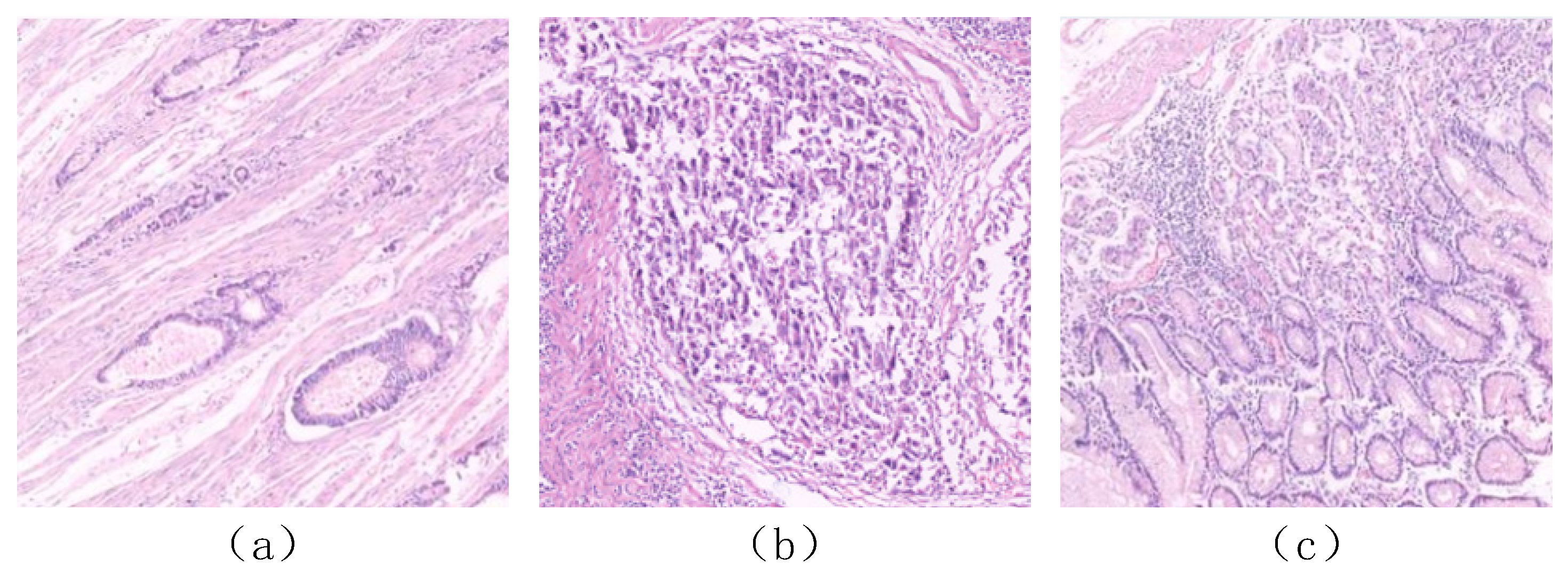 Applsci 14 04073 g005