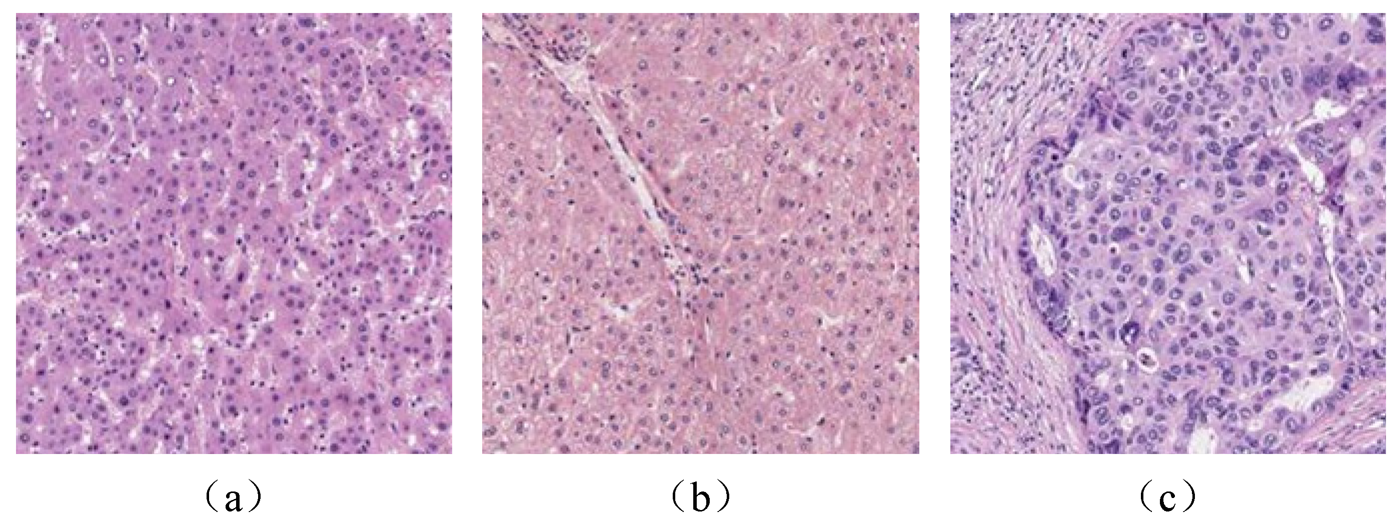 Applsci 14 04073 g007