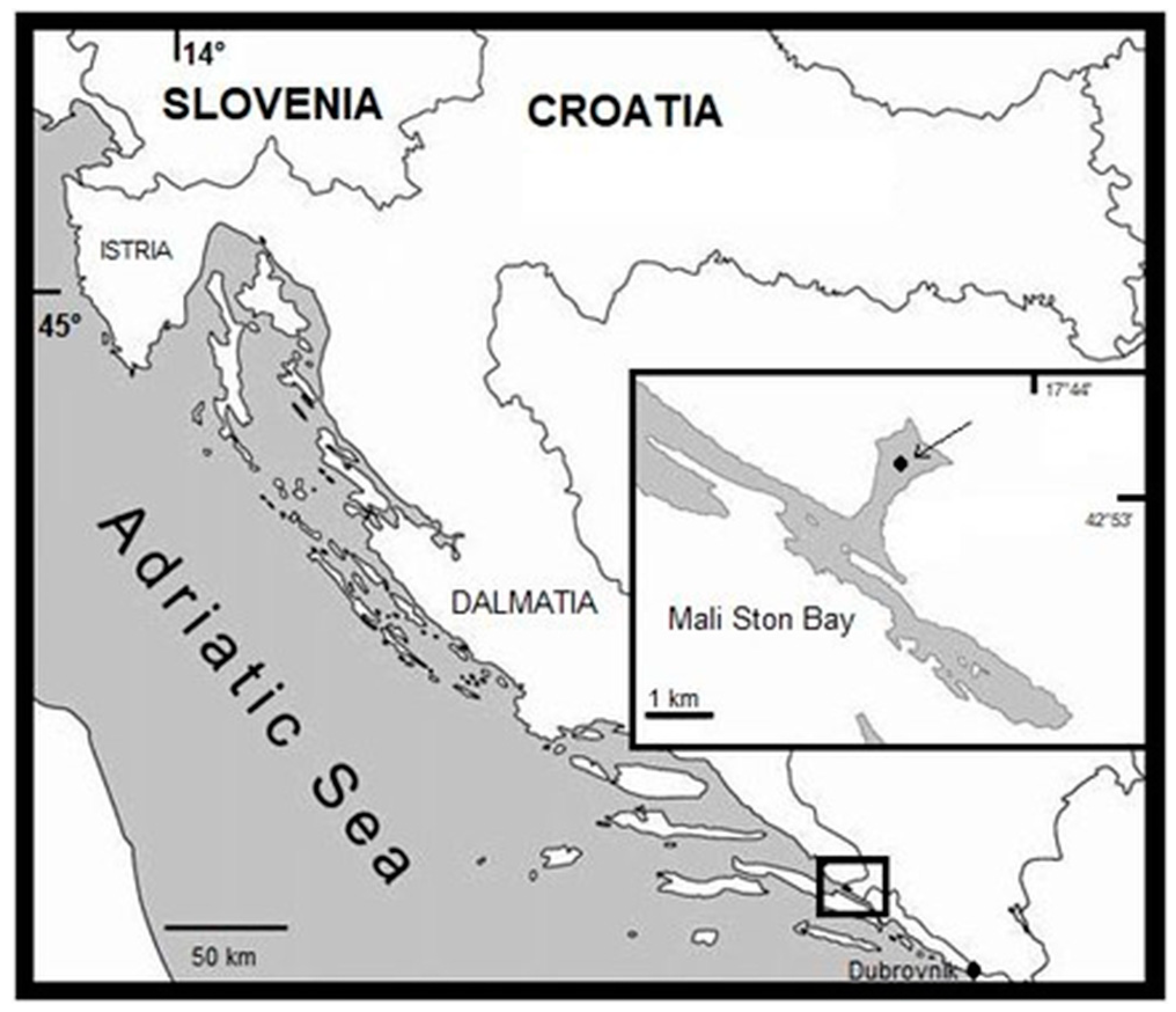 Applsci 14 04092 g001