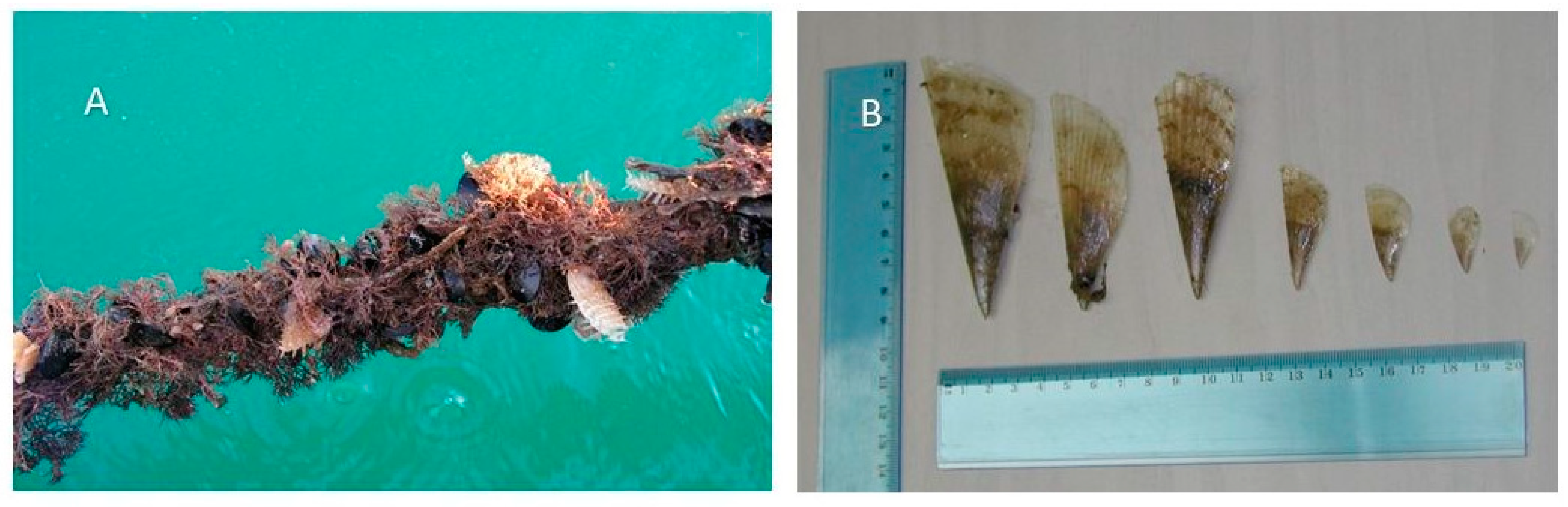 Applsci 14 04092 g002a