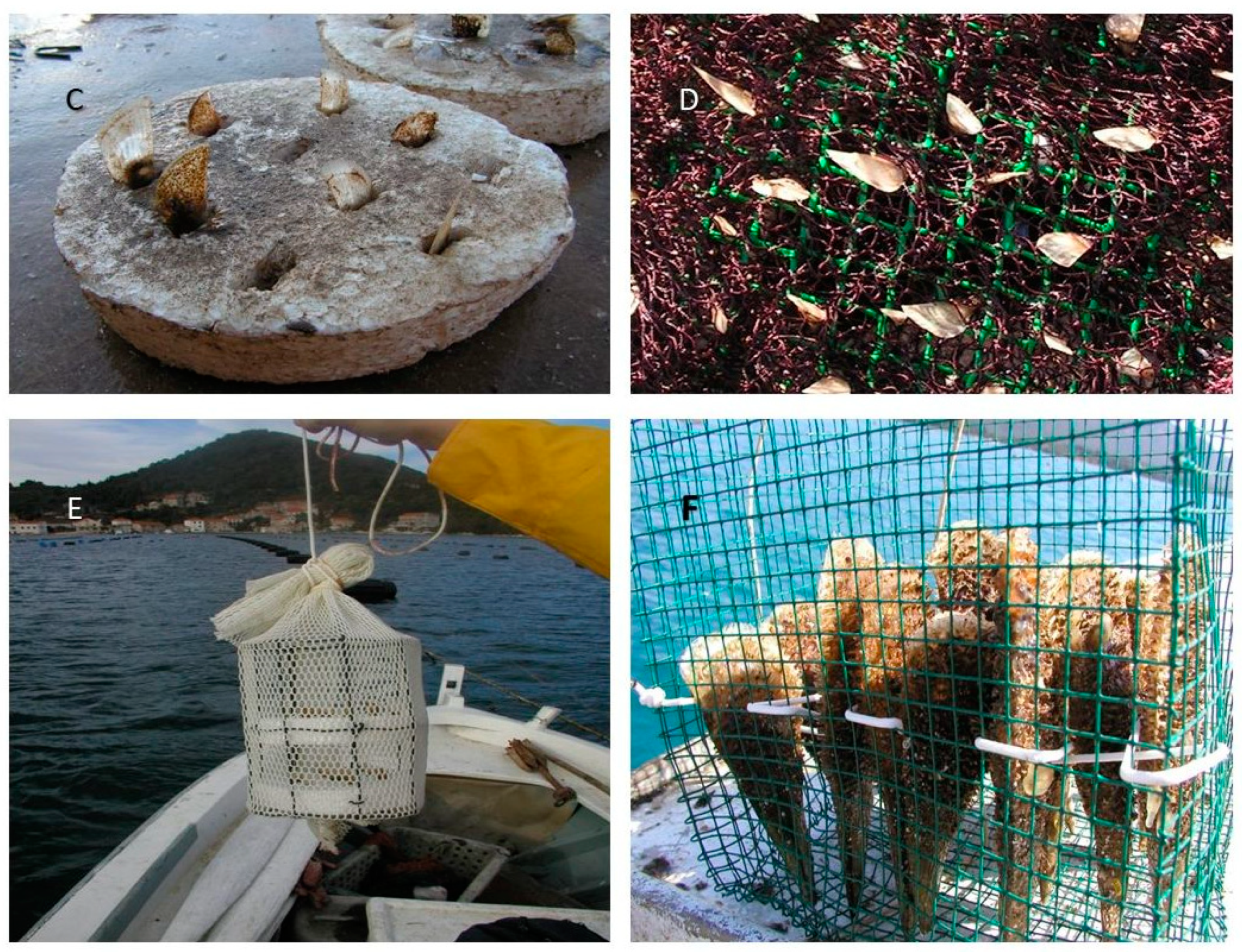 Applsci 14 04092 g002b