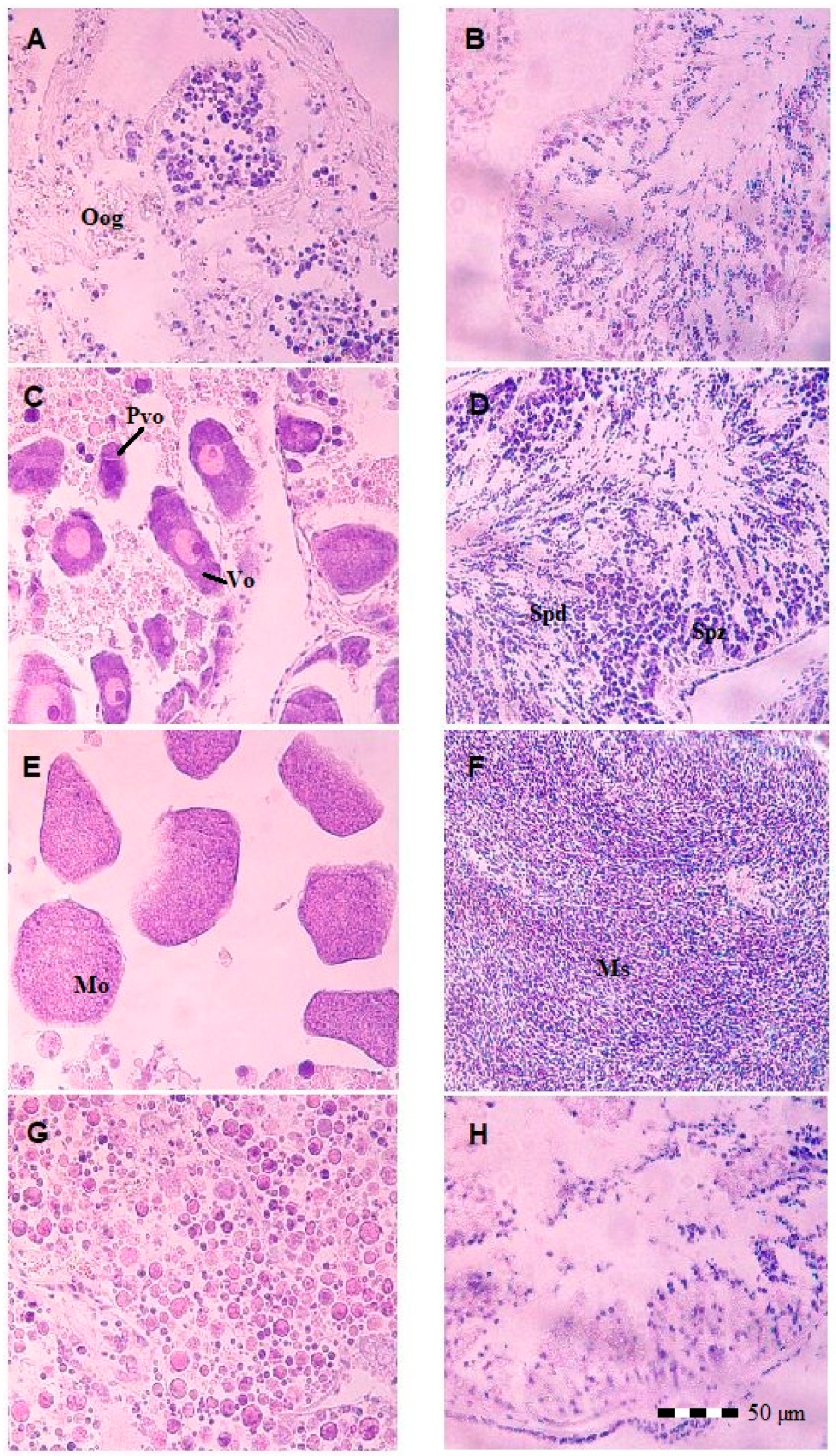 Applsci 14 04092 g004