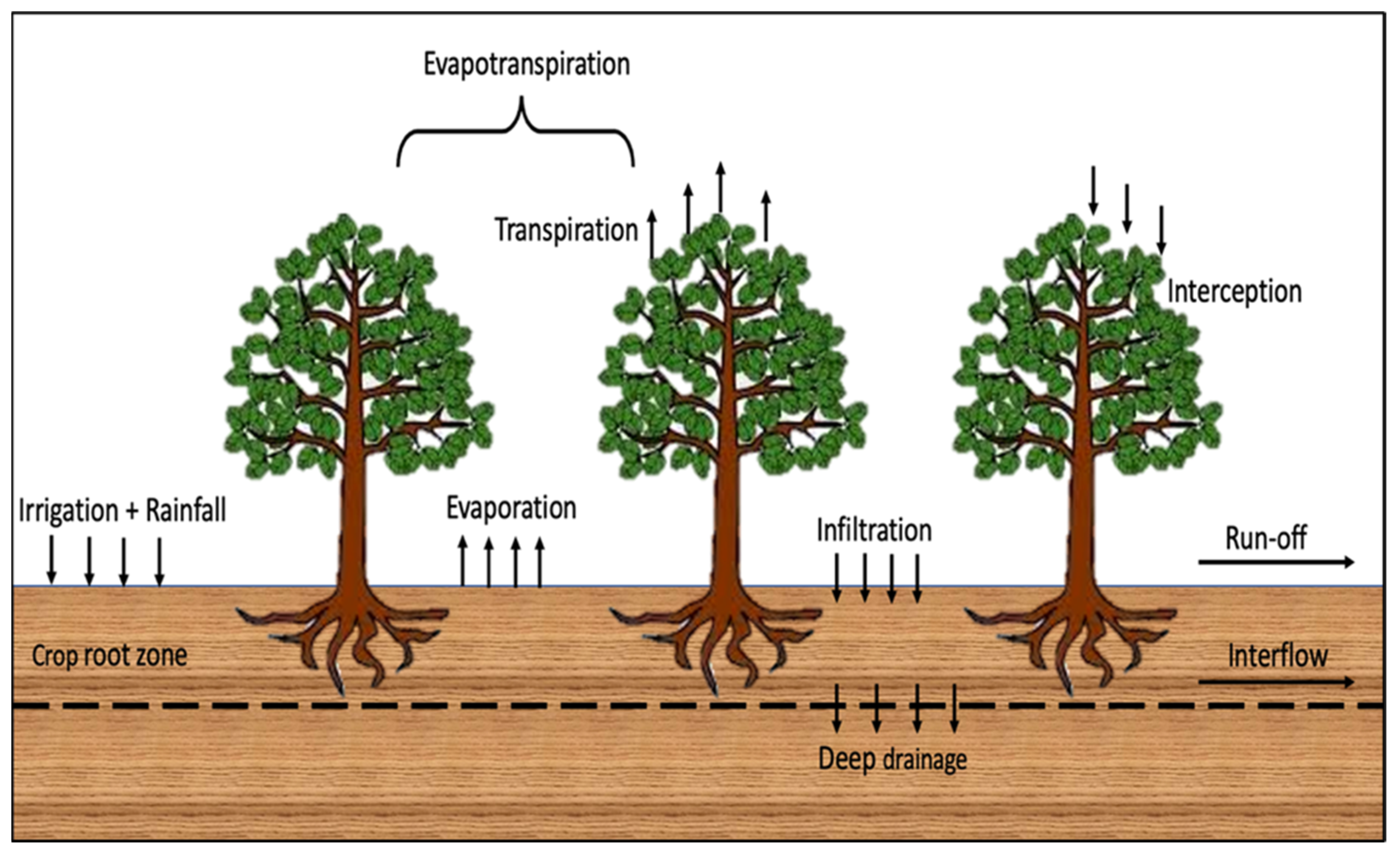 Applsci 14 04097 g006 Applsci 14 04097 g006