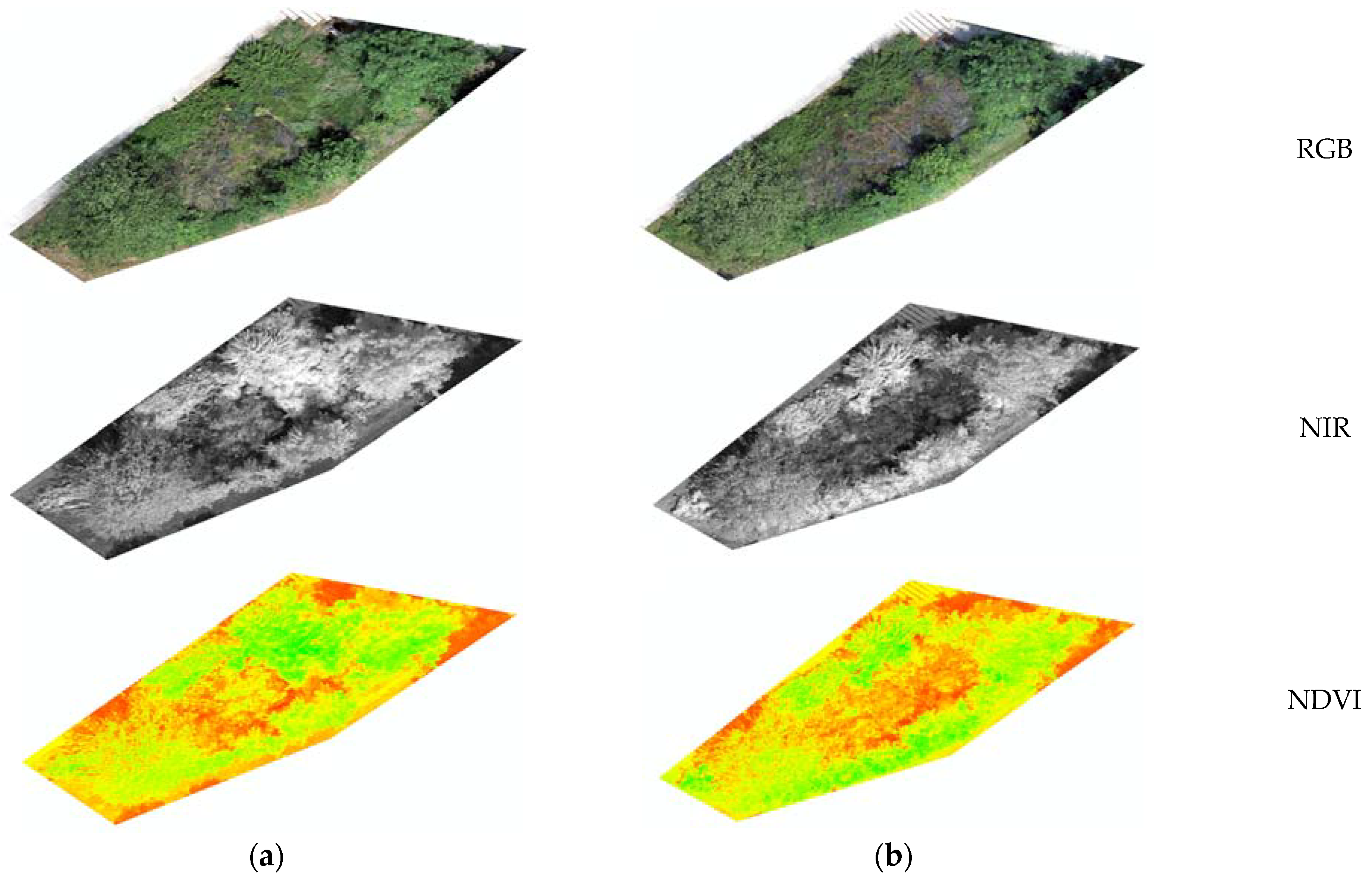Applsci 14 04118 g005 Applsci 14 04118 g005