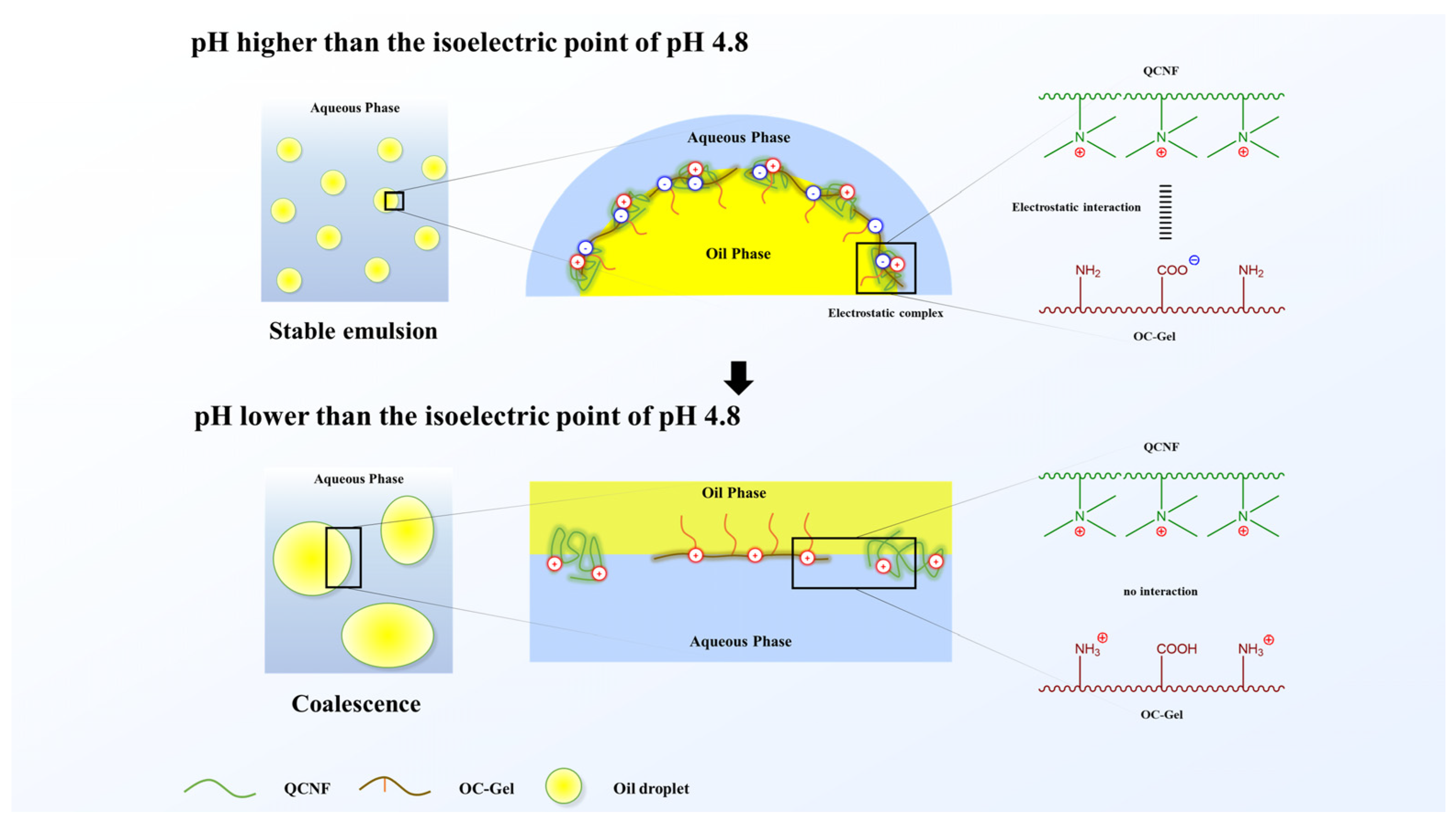 Applsci 14 04122 g001