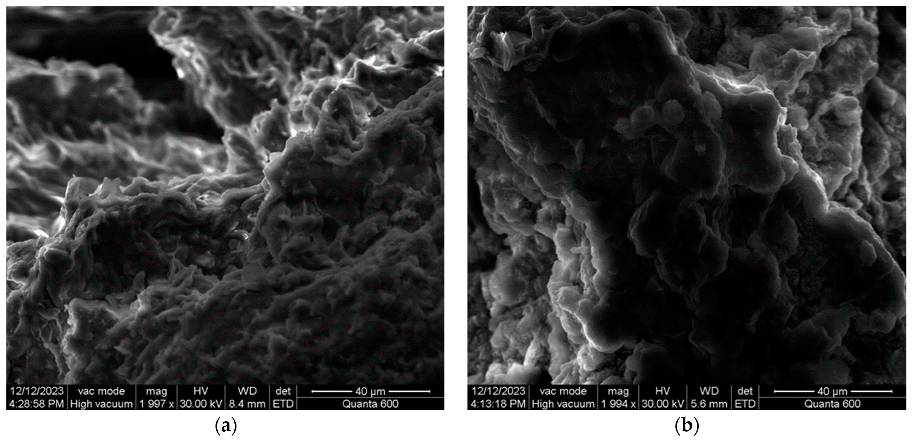 Applsci 14 04140 g013 Applsci 14 04140 g013