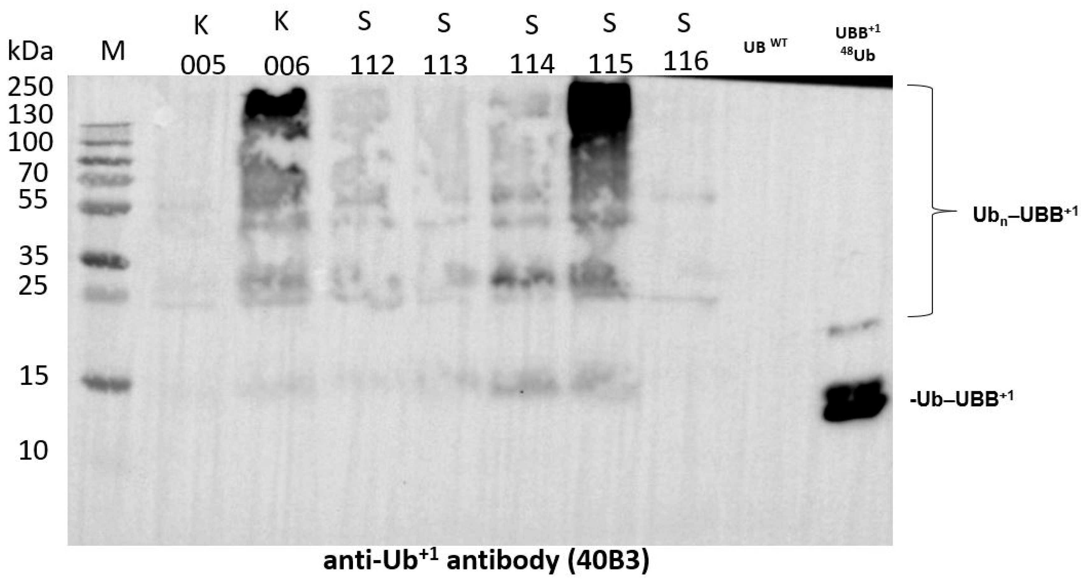 Applsci 14 04149 g001