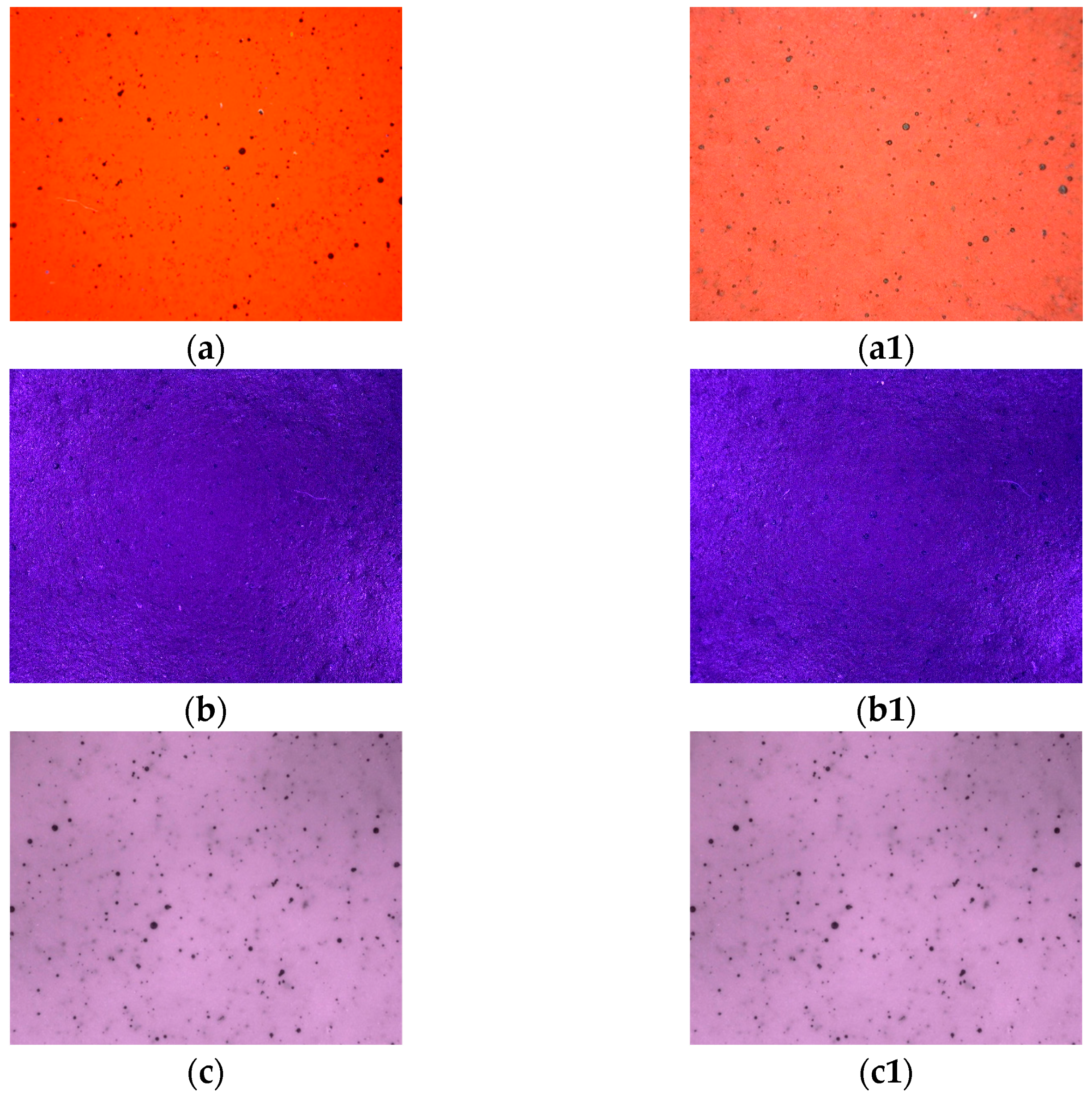 Applsci 14 04165 g006 Applsci 14 04165 g006