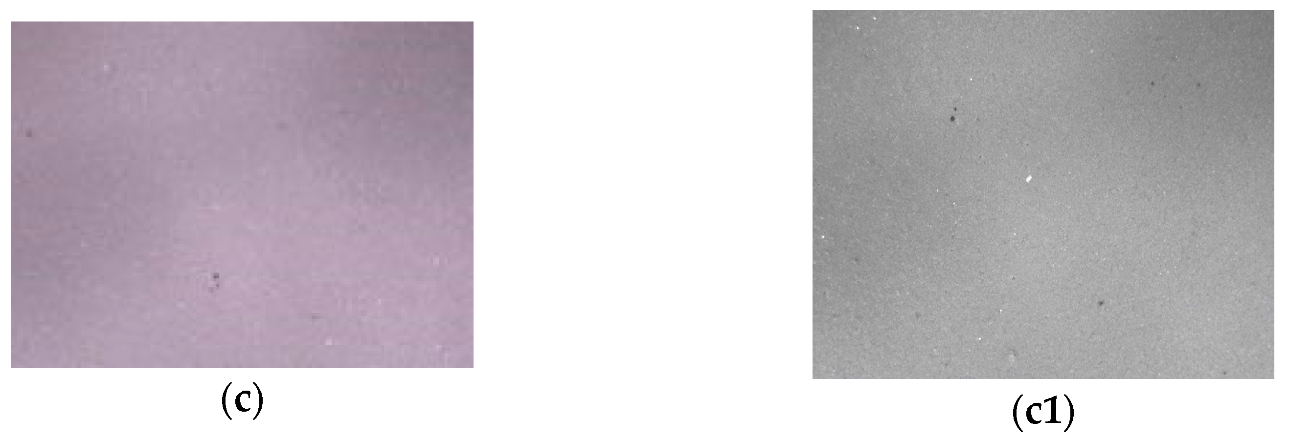 Applsci 14 04165 g007b Applsci 14 04165 g007b