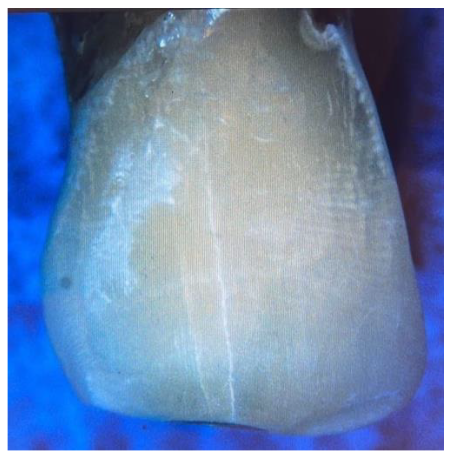 Applsci 14 04187 g003