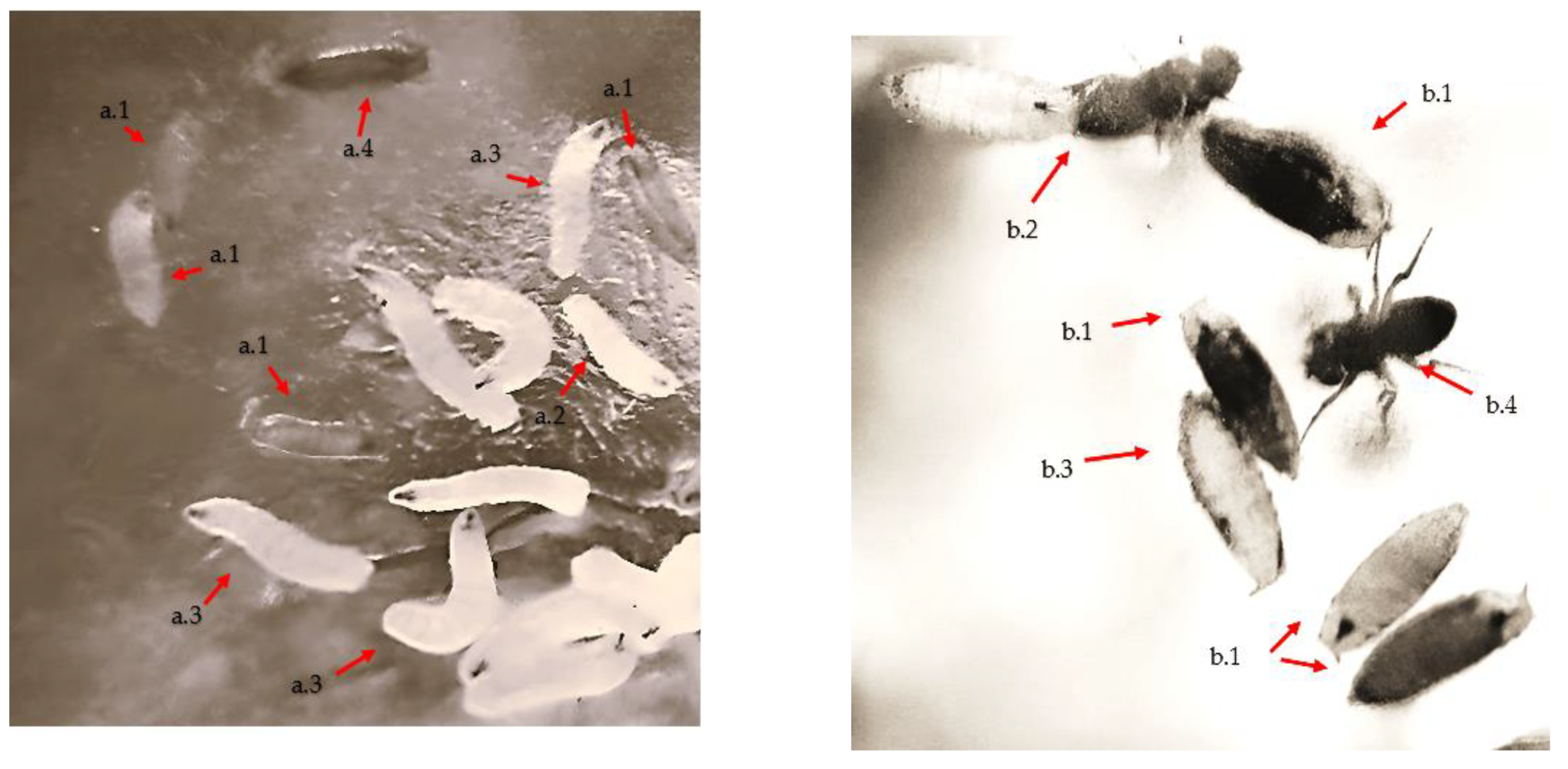 Applsci 14 04190 g002